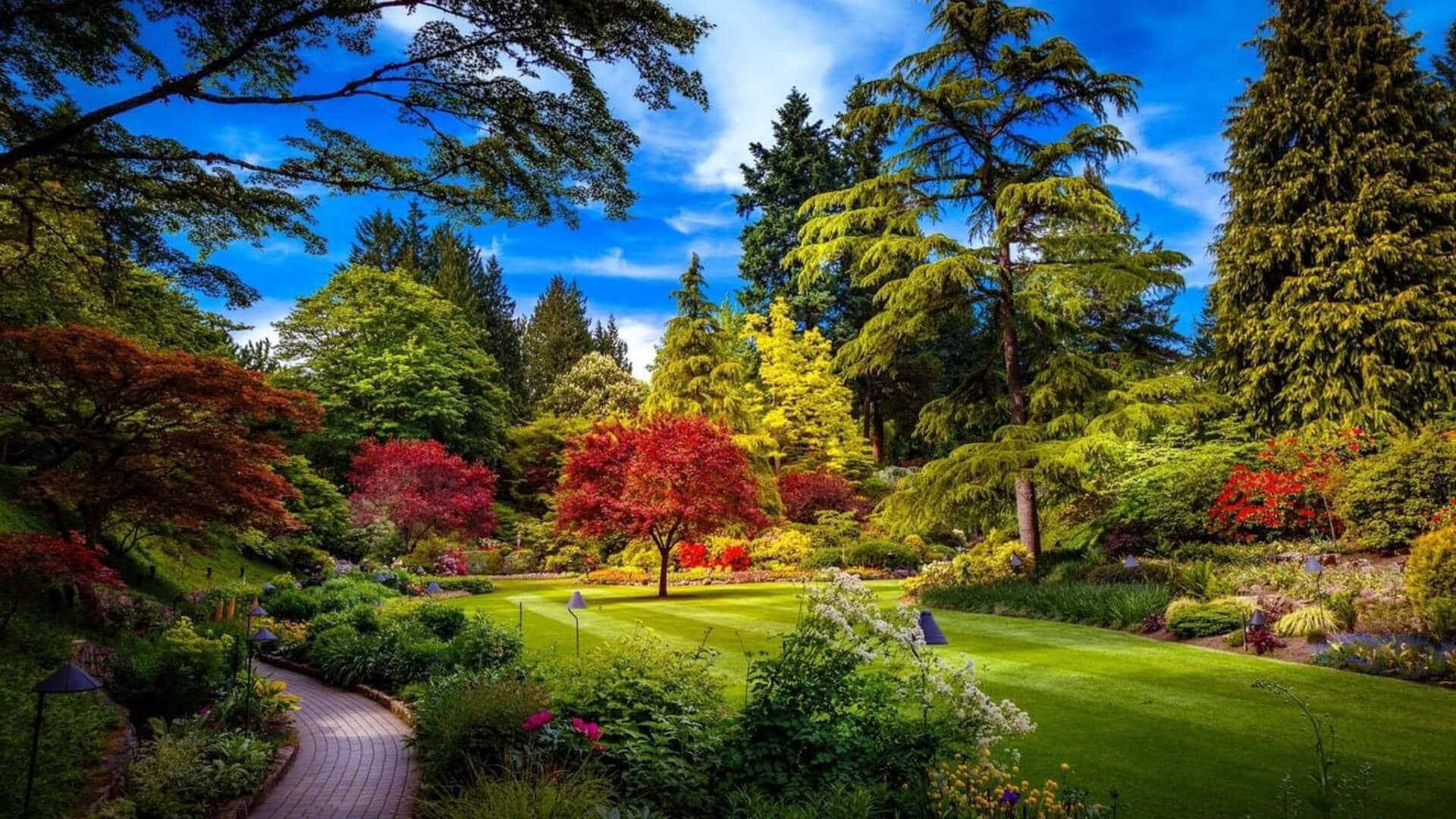 1080p Naturbaggrund The Butchart Gardens Wallpapers