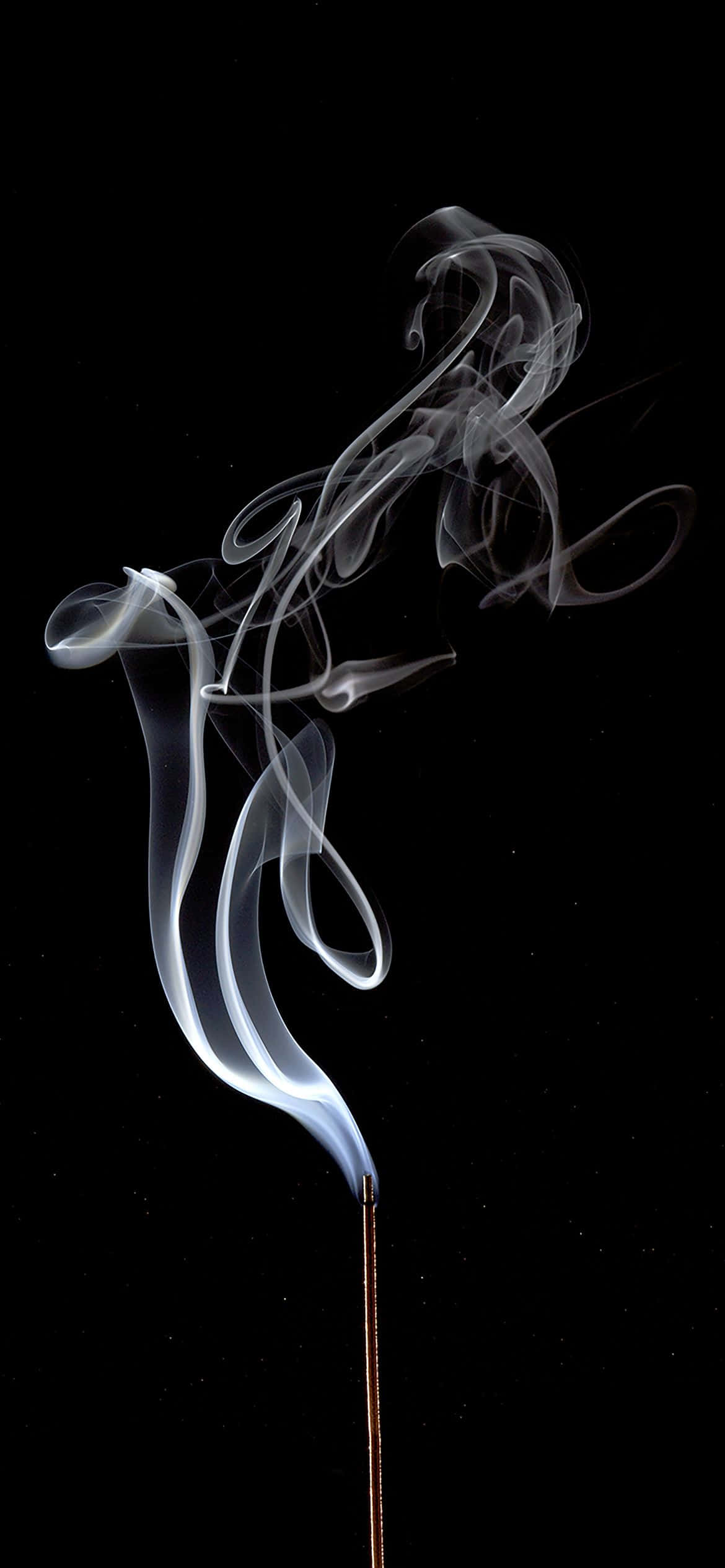 1170x2532 Hvid Røg Kreativt Billede Wallpapers