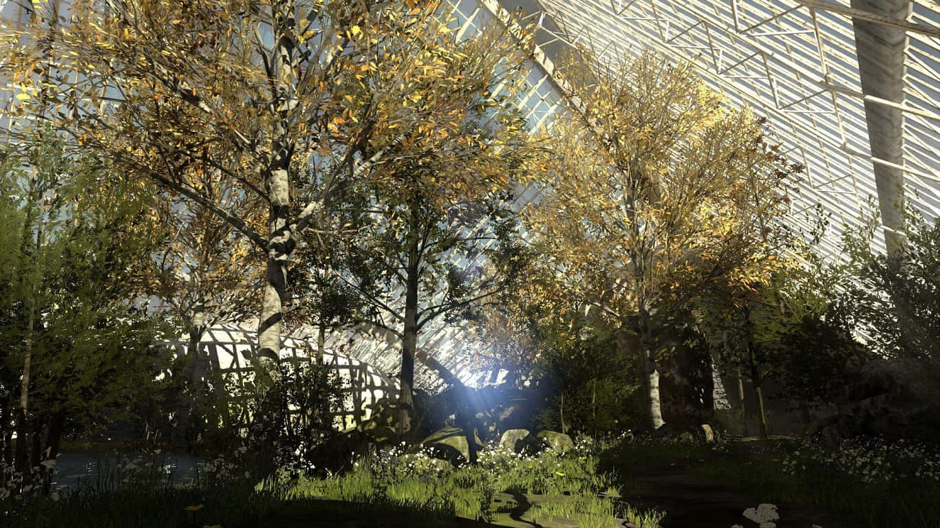 1366x768 The Talos Principle Gehenna Skov Baggrund Wallpapers