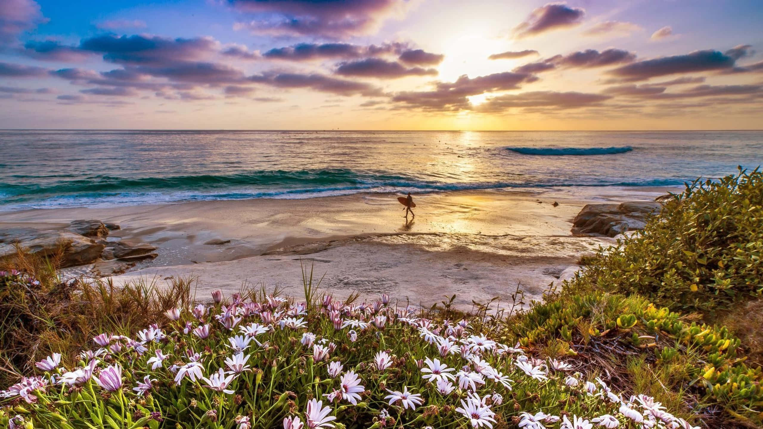 1440p Malibu Surfer Flowers Baggrund Wallpapers