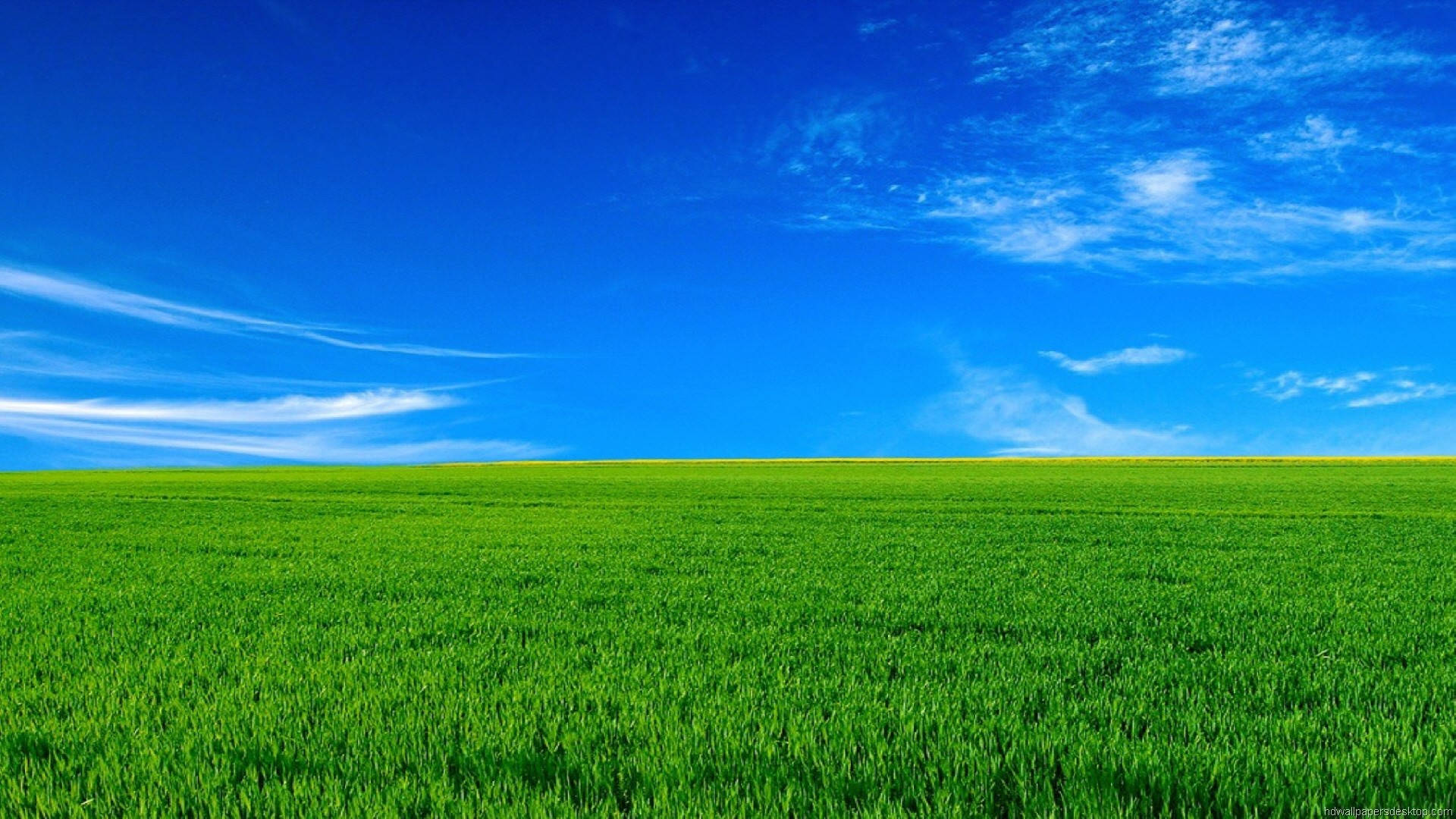 1920x1080 Fuld HD Natur Grønt Græs Blå Himmel — Natur Wallpapers