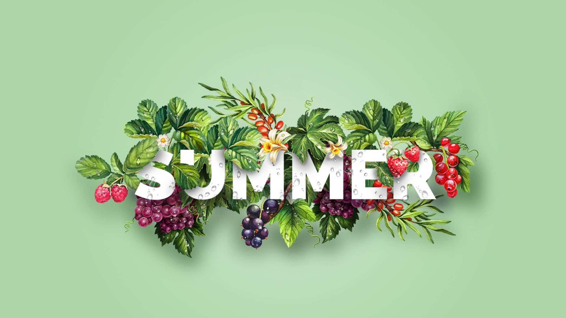 1920x1080 Æstetisk Grøn Sommerbaggrund Wallpapers