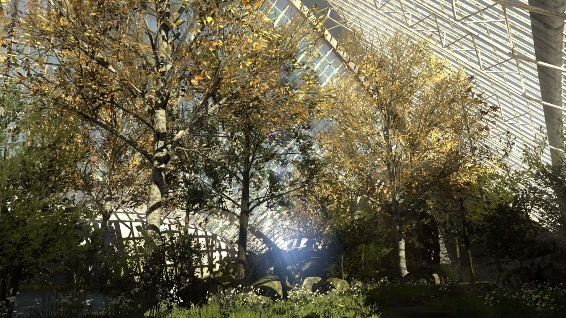 1920x1080 The Talos Principle Frodig Skovbaggrund Wallpapers