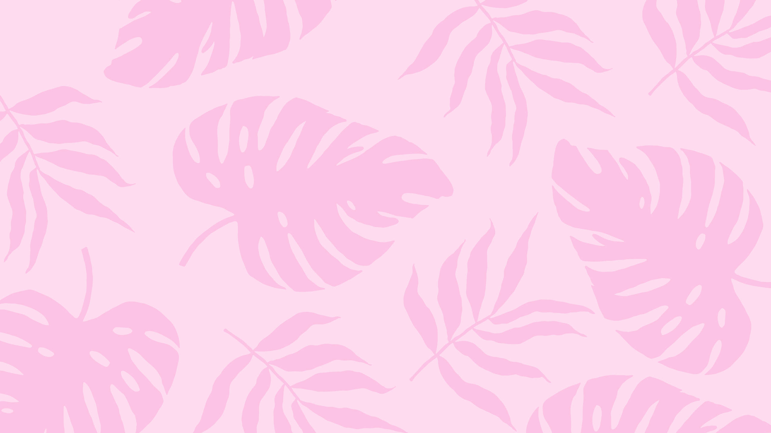 2560x1440 Sommerplanter Pink Æstetik Wallpapers