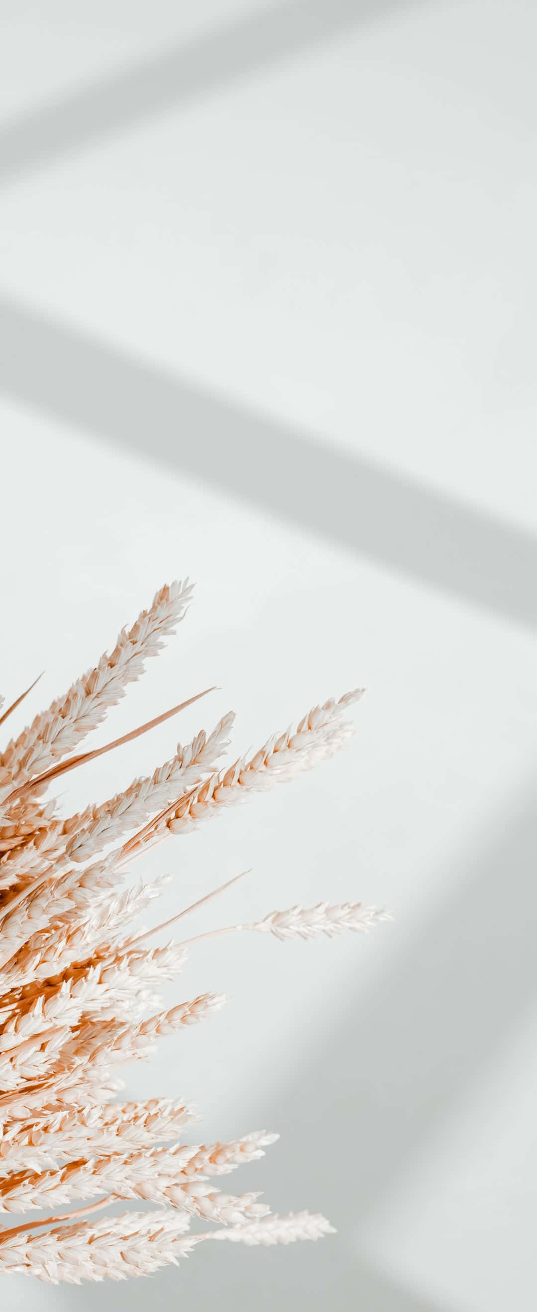 4K bybillede taget fra en drone Wallpapers