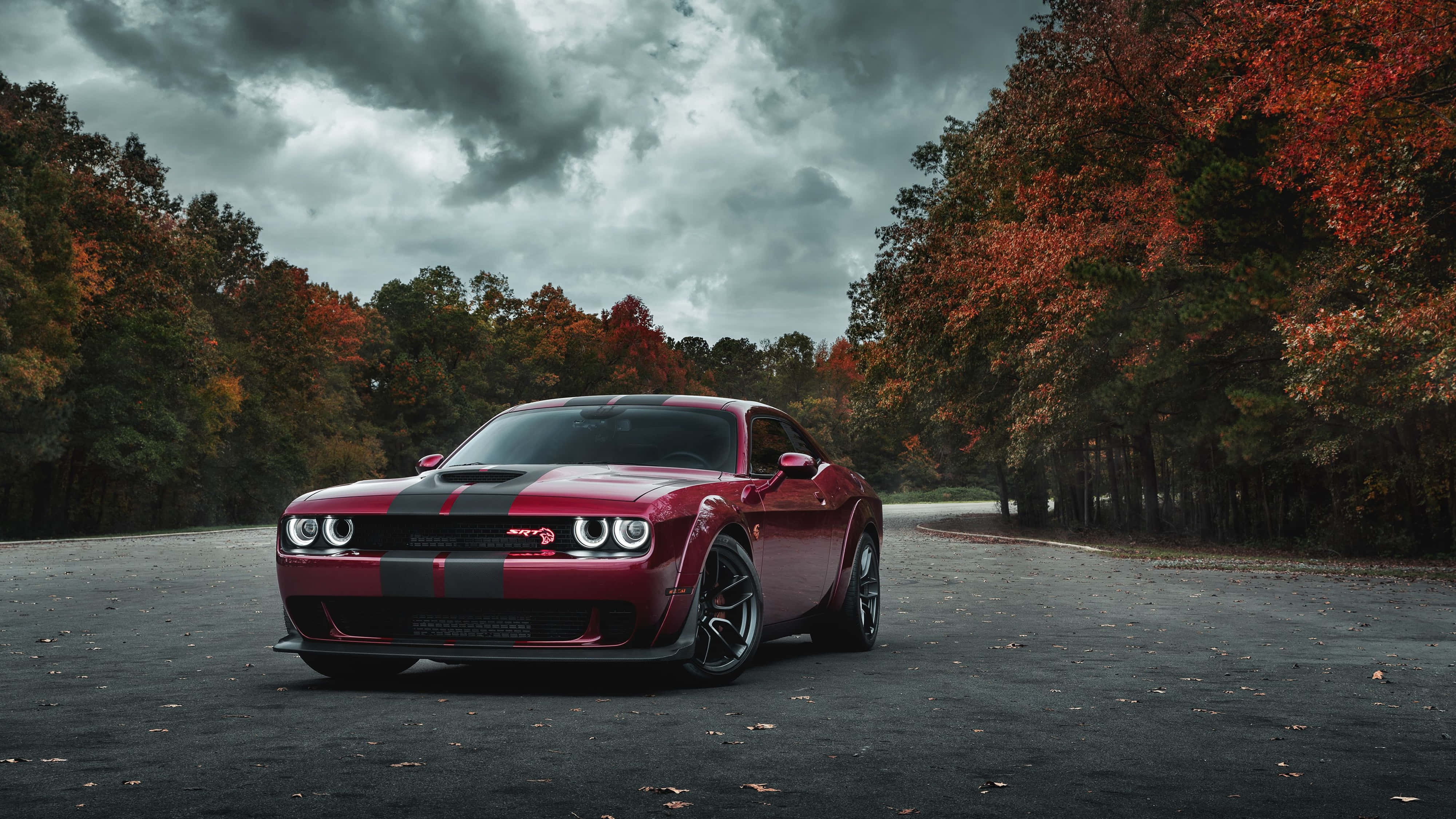 4K Dodge Hellcat på skovparkering Wallpapers