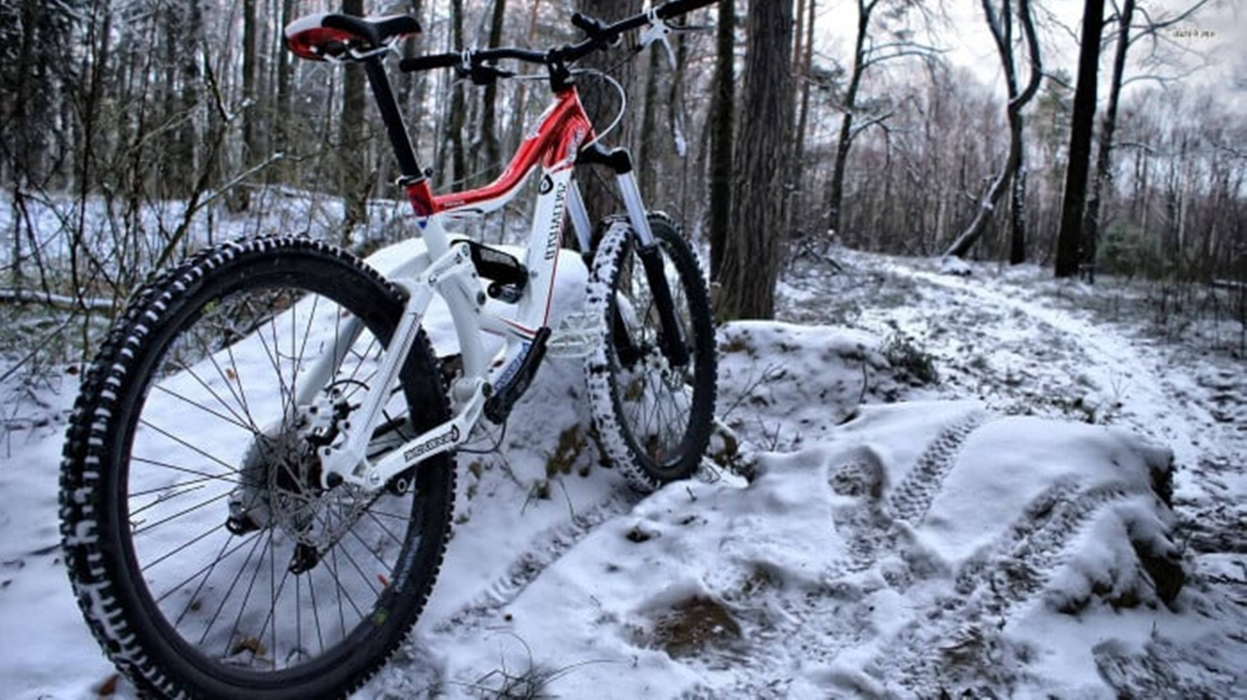 4K mountainbike i sneklædt skov Wallpapers