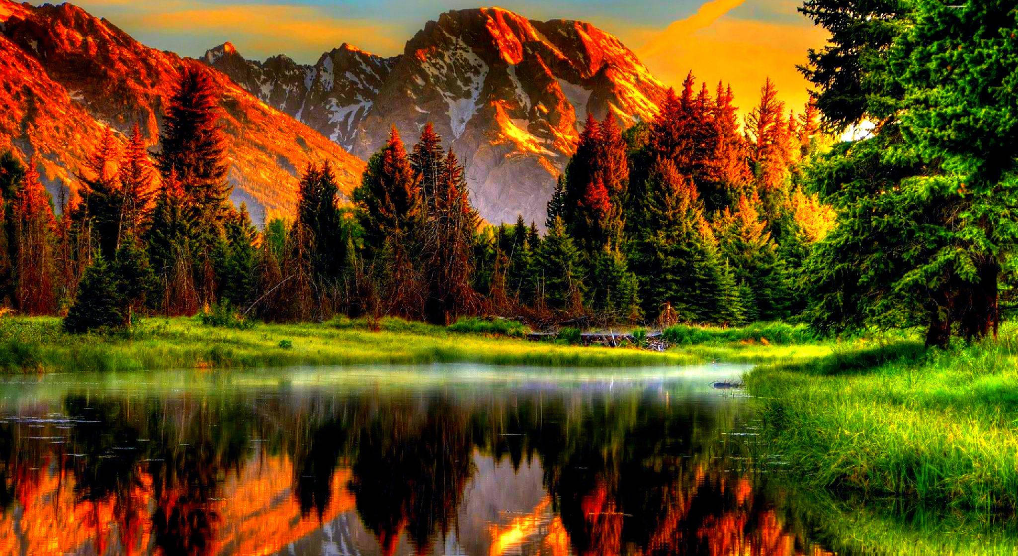 4K Natur i Den Gyldne Time Wallpapers