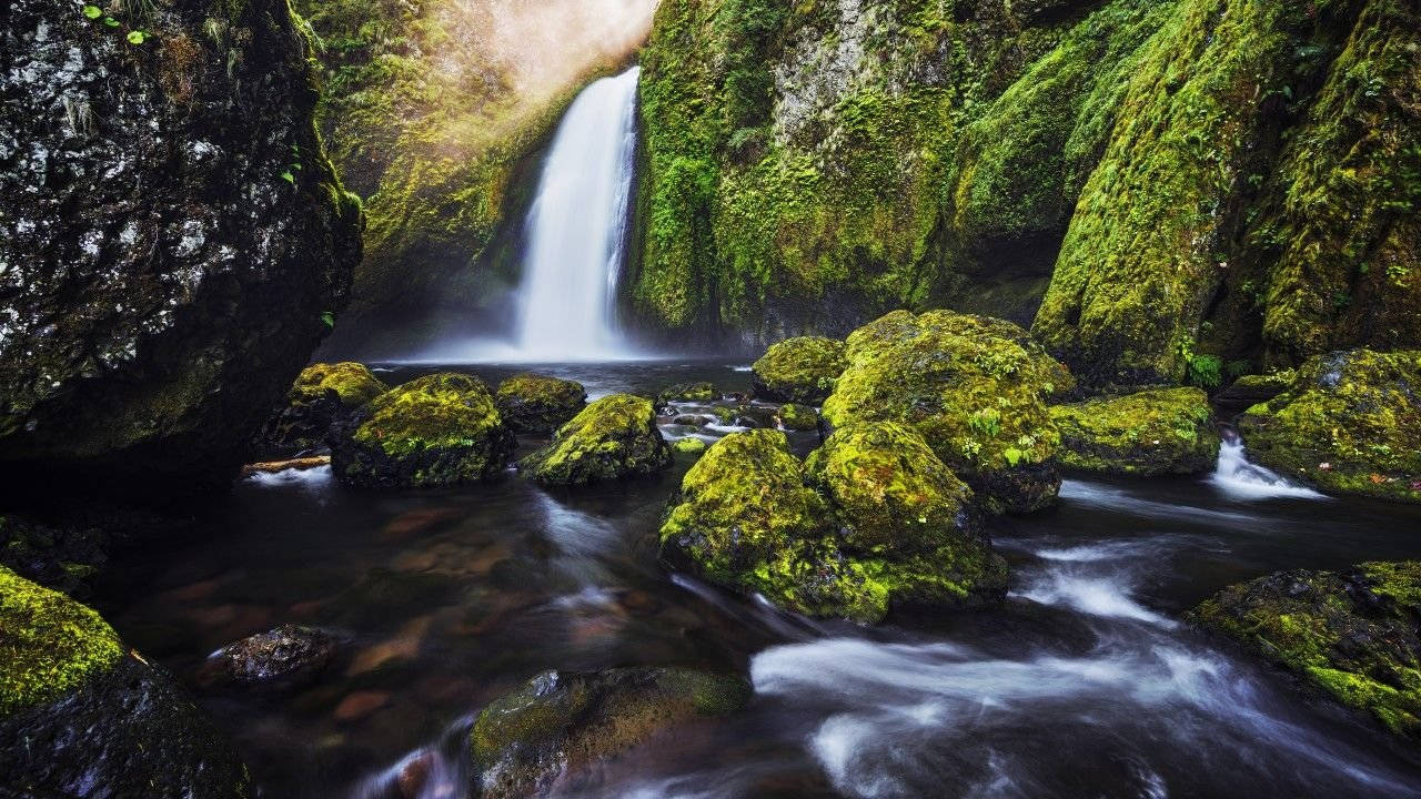 4K Natur Mosklædte Sten Wallpapers