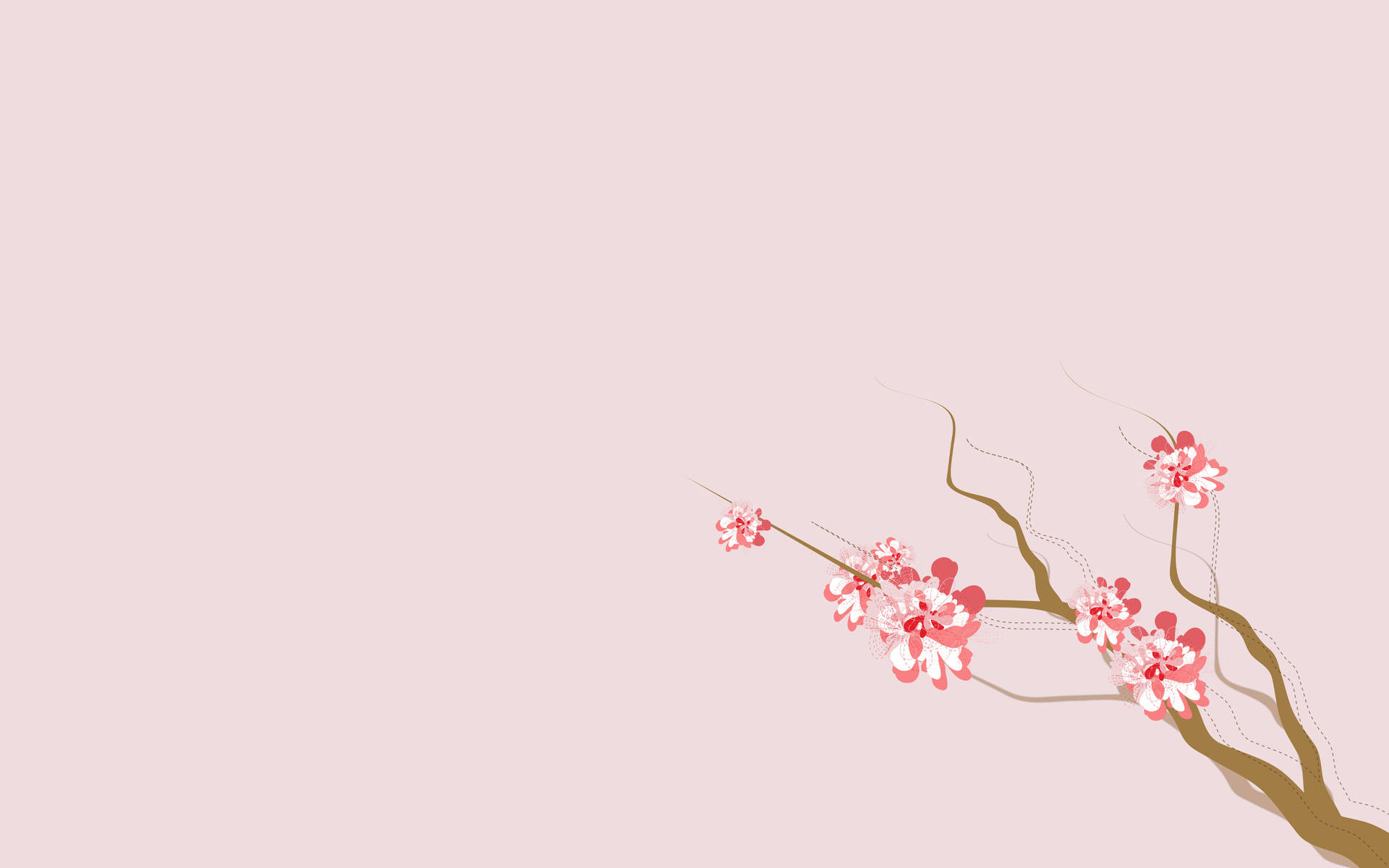 4K Natur Sakura Blomster Wallpapers