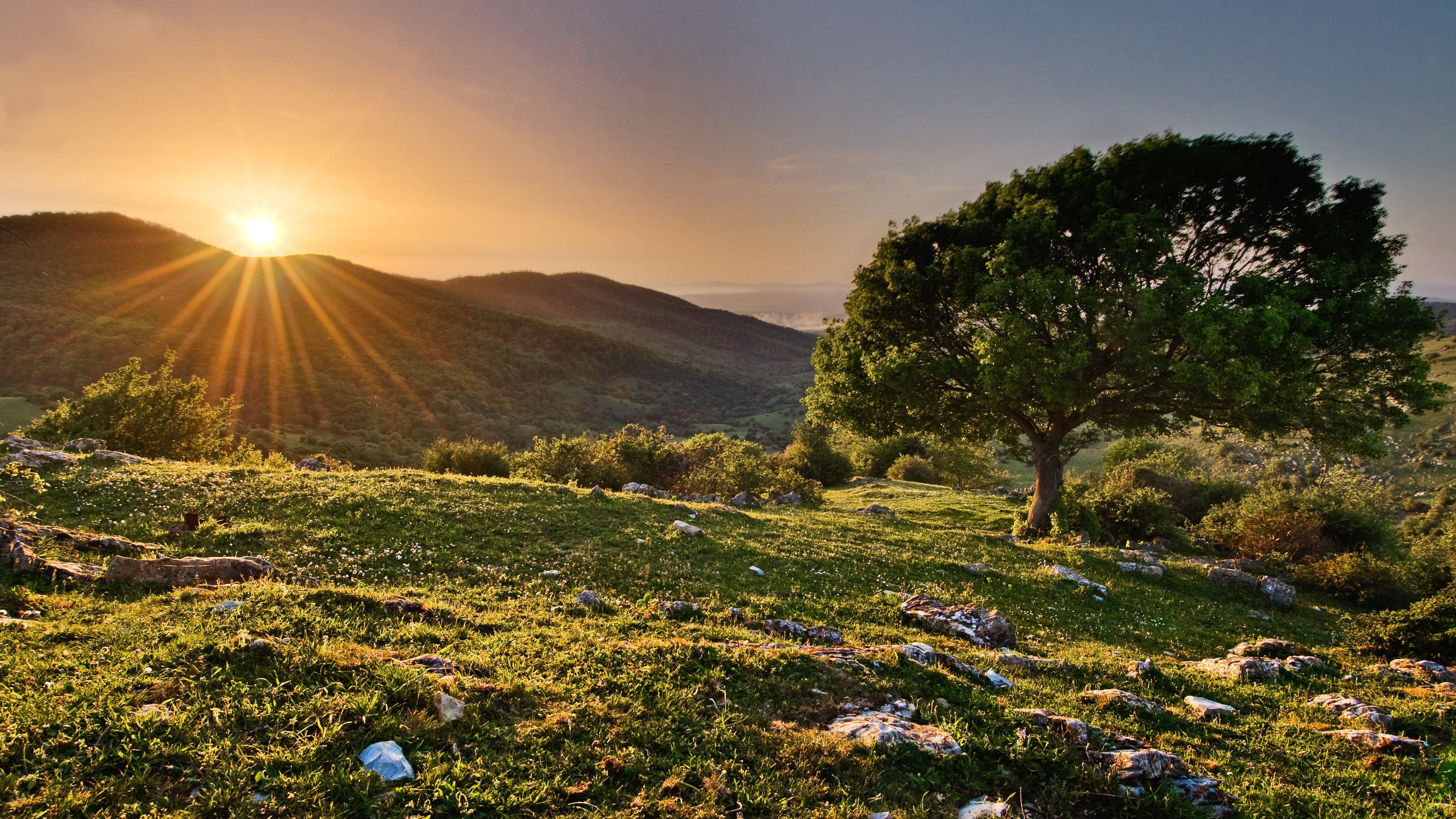 4K Natur solnedgang på bakke Wallpapers