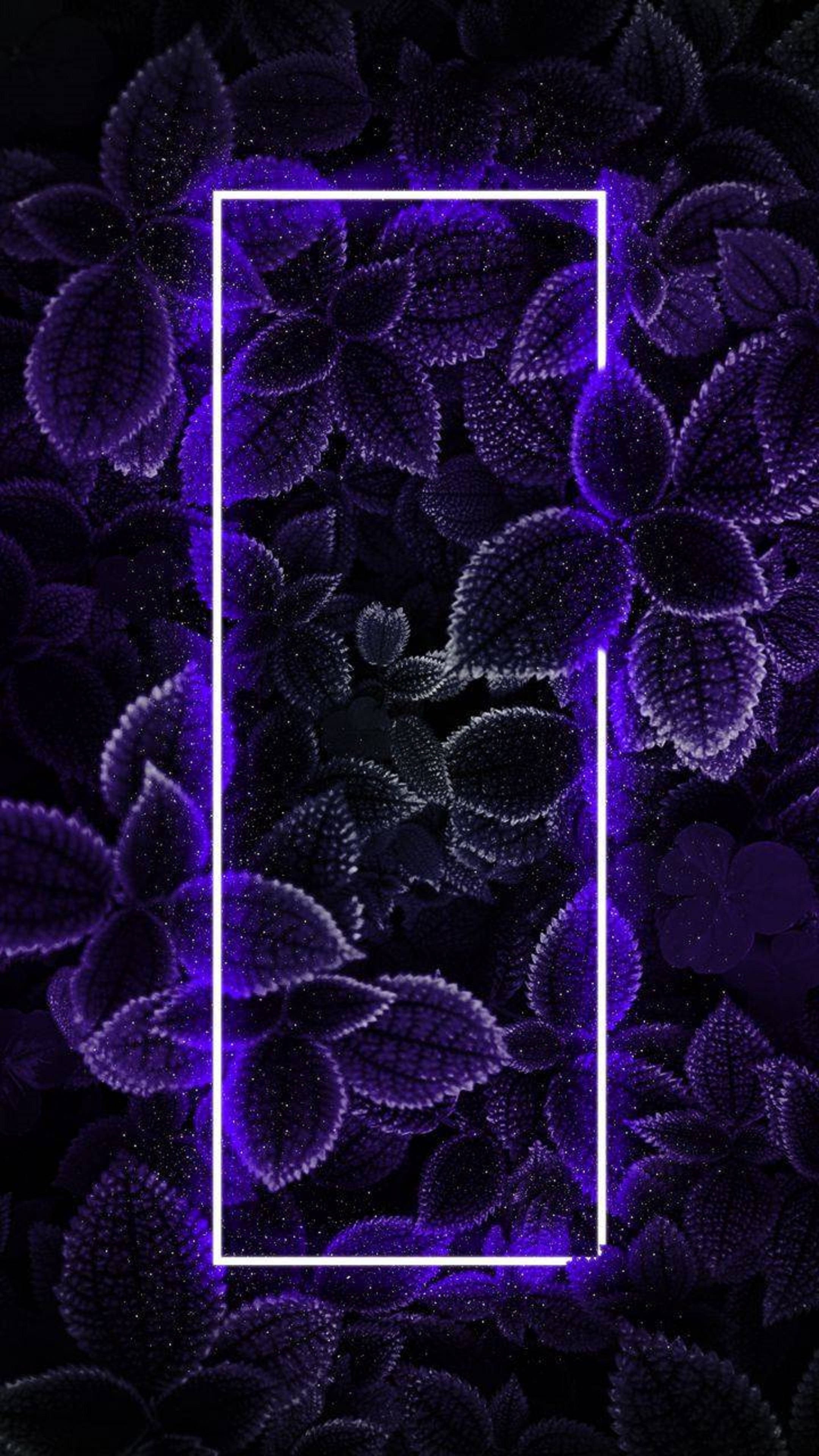 4K Neon iPhone Løv Wallpapers