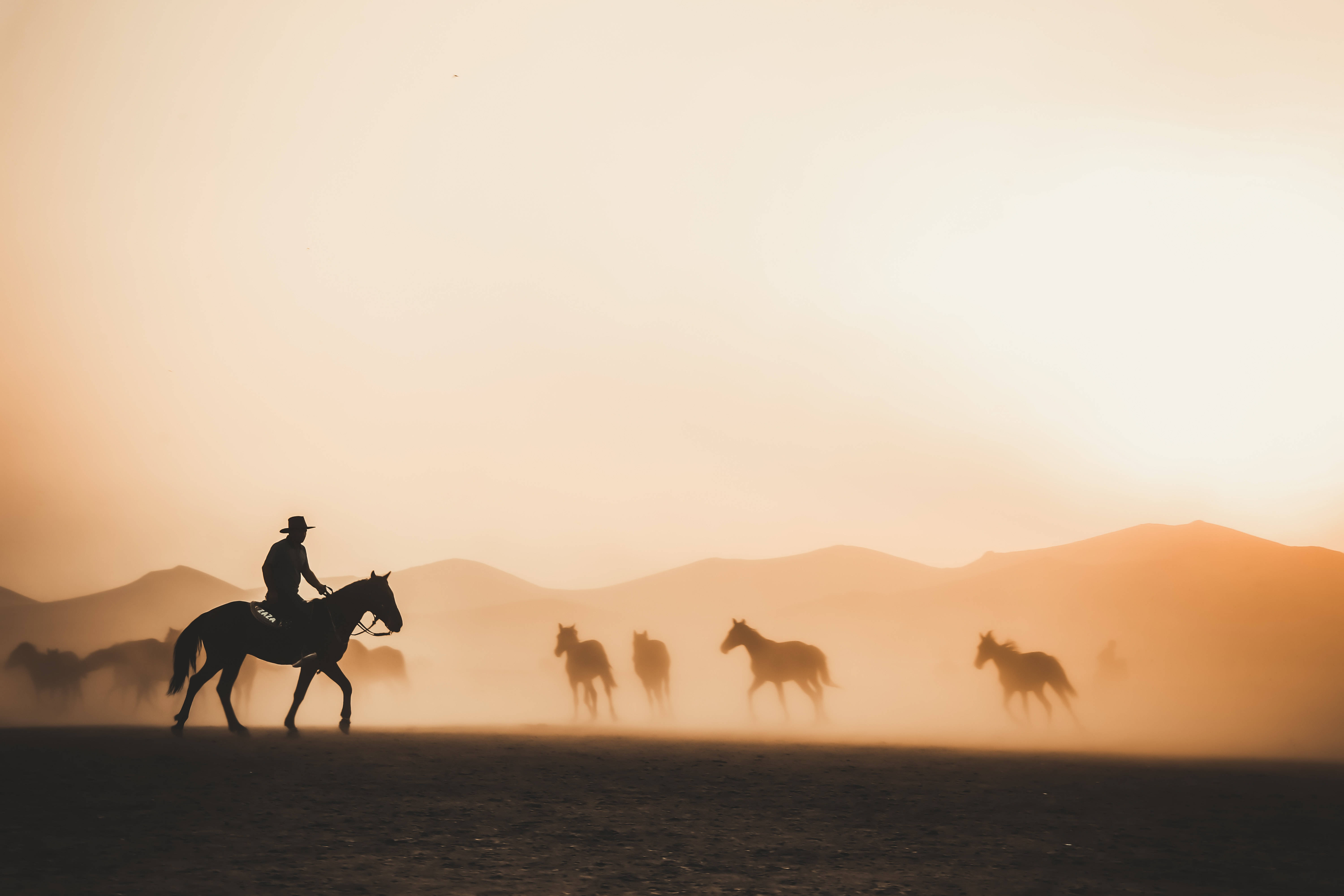 4K Tablet Cowboy der driver heste sammen Wallpapers