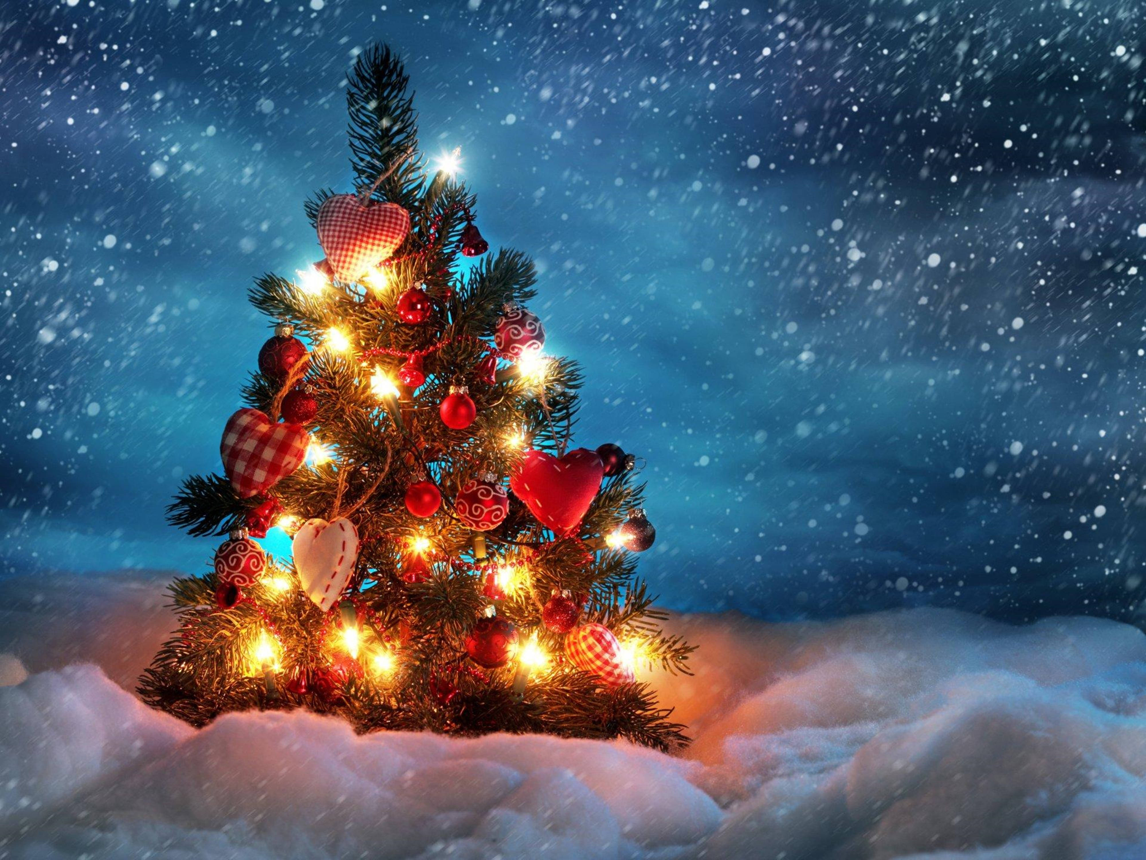 4K Ultra HD Juletræ Vinter Wallpapers
