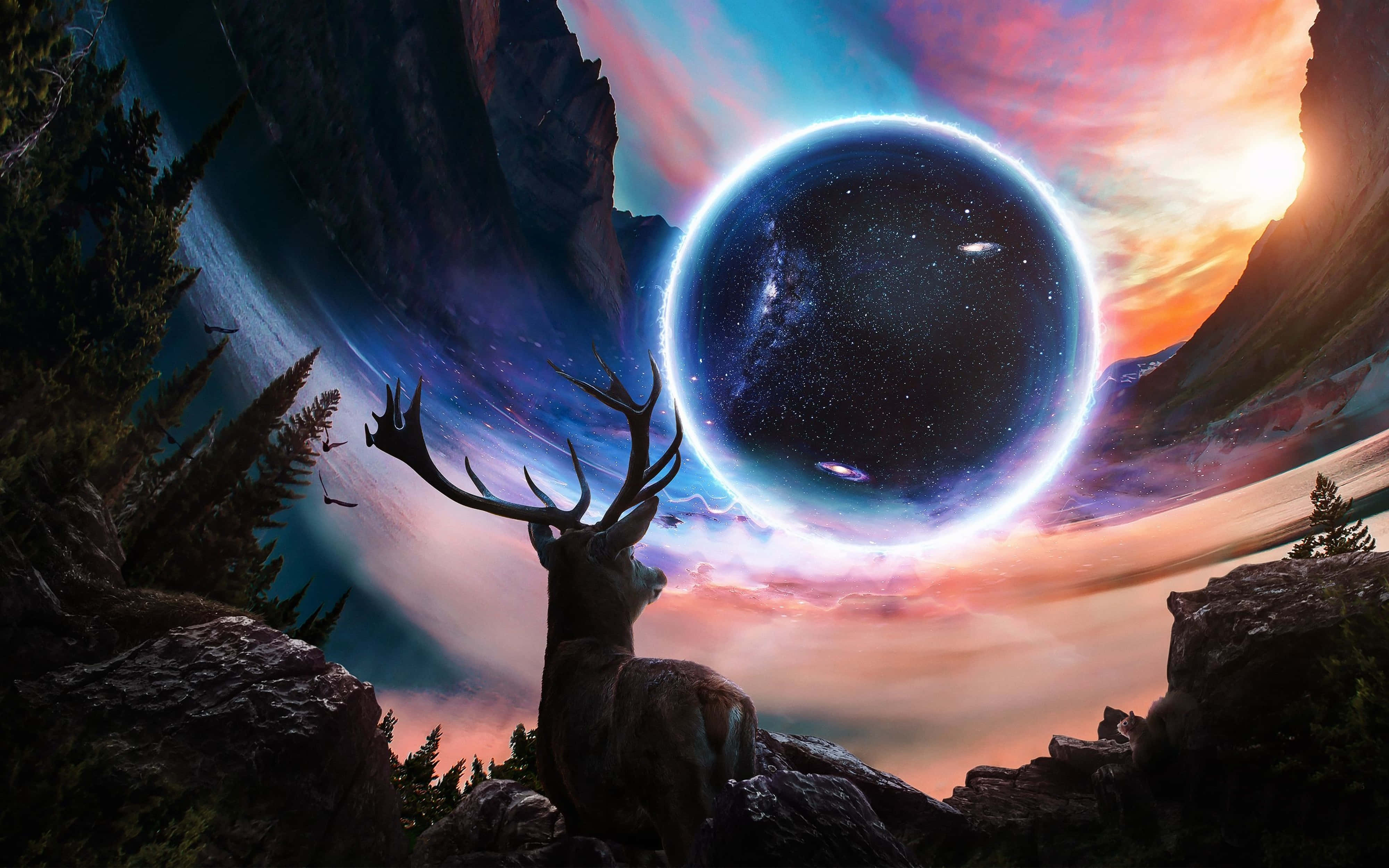 4K Univers Hjort, der stirrer Wallpapers