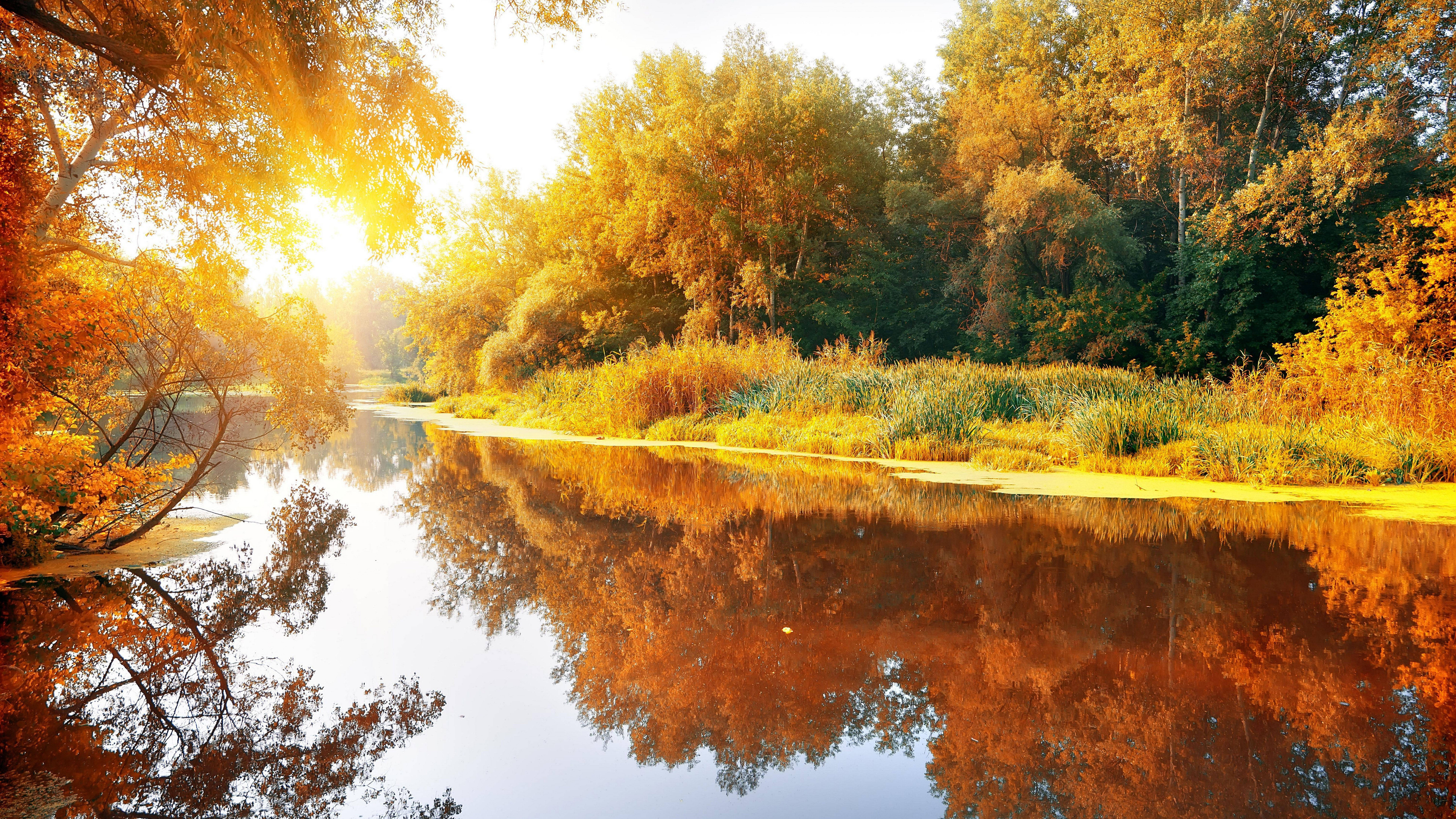 8K 7680x4320 Ultra HD Opløsning Skrivebordsflod Wallpapers