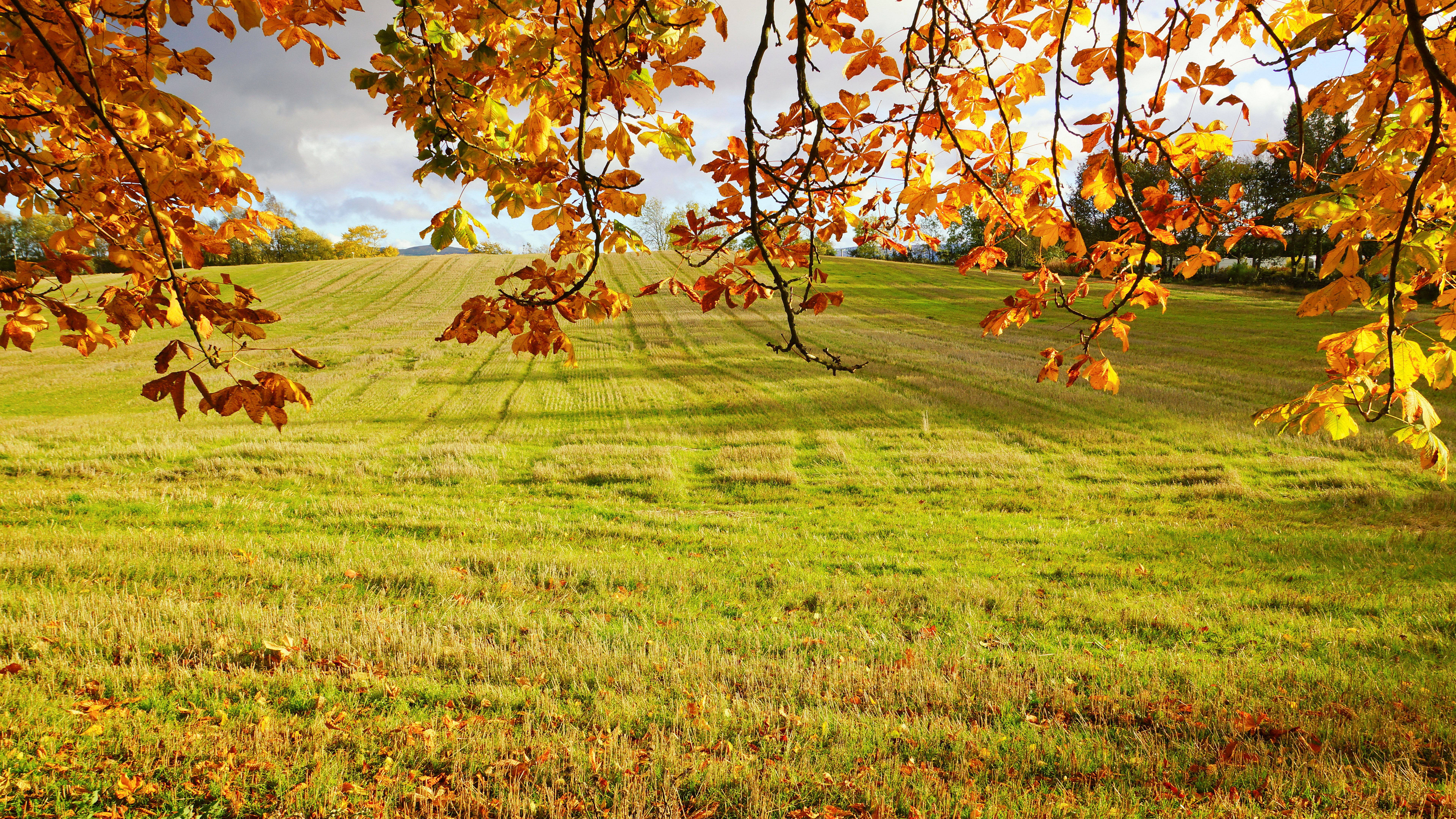 8K 7680x4320 Ultra HD Opløsning Skrivebordsmark Wallpapers