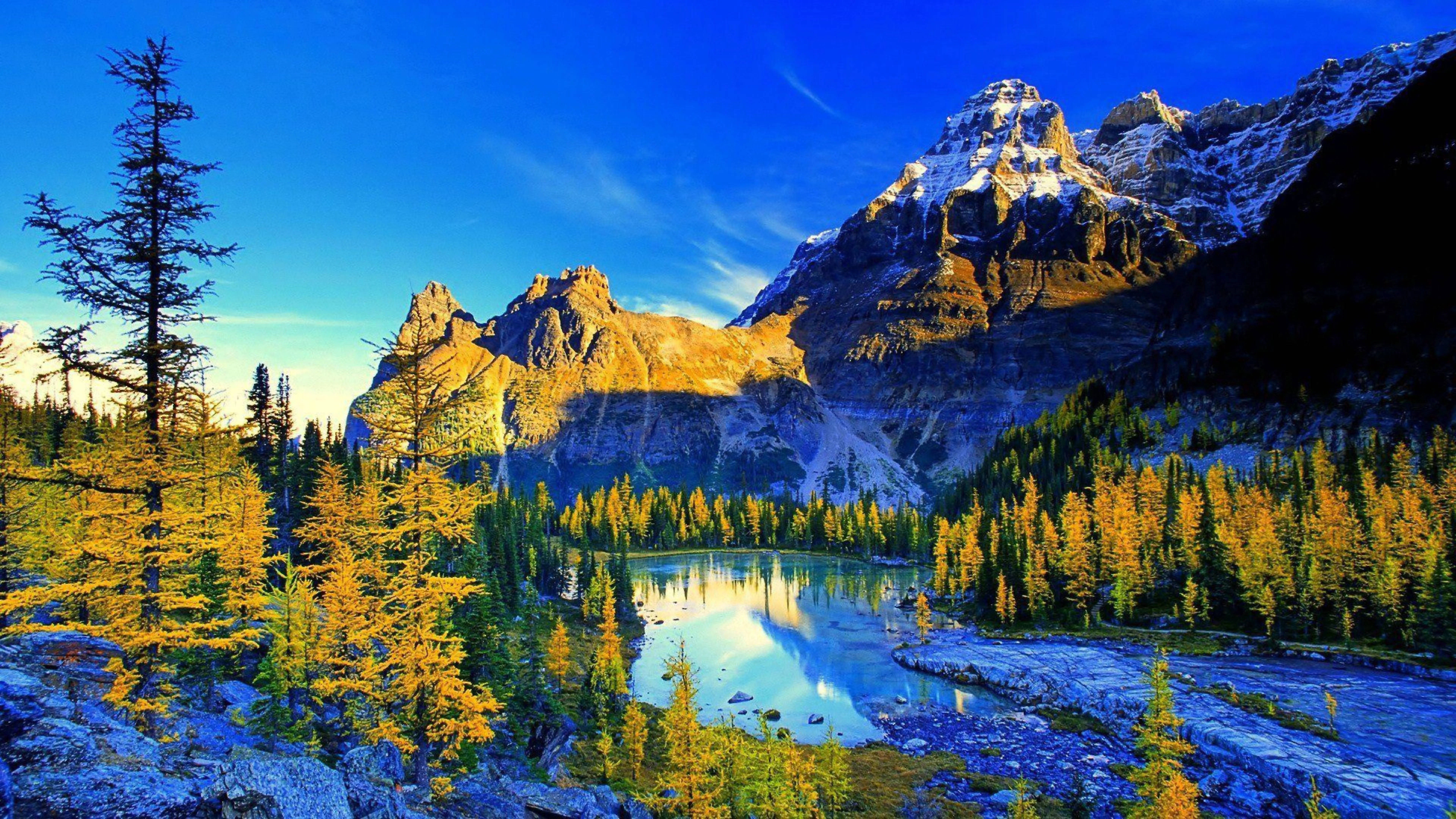 8K Ultra HD Natur Bjergreservat Wallpapers