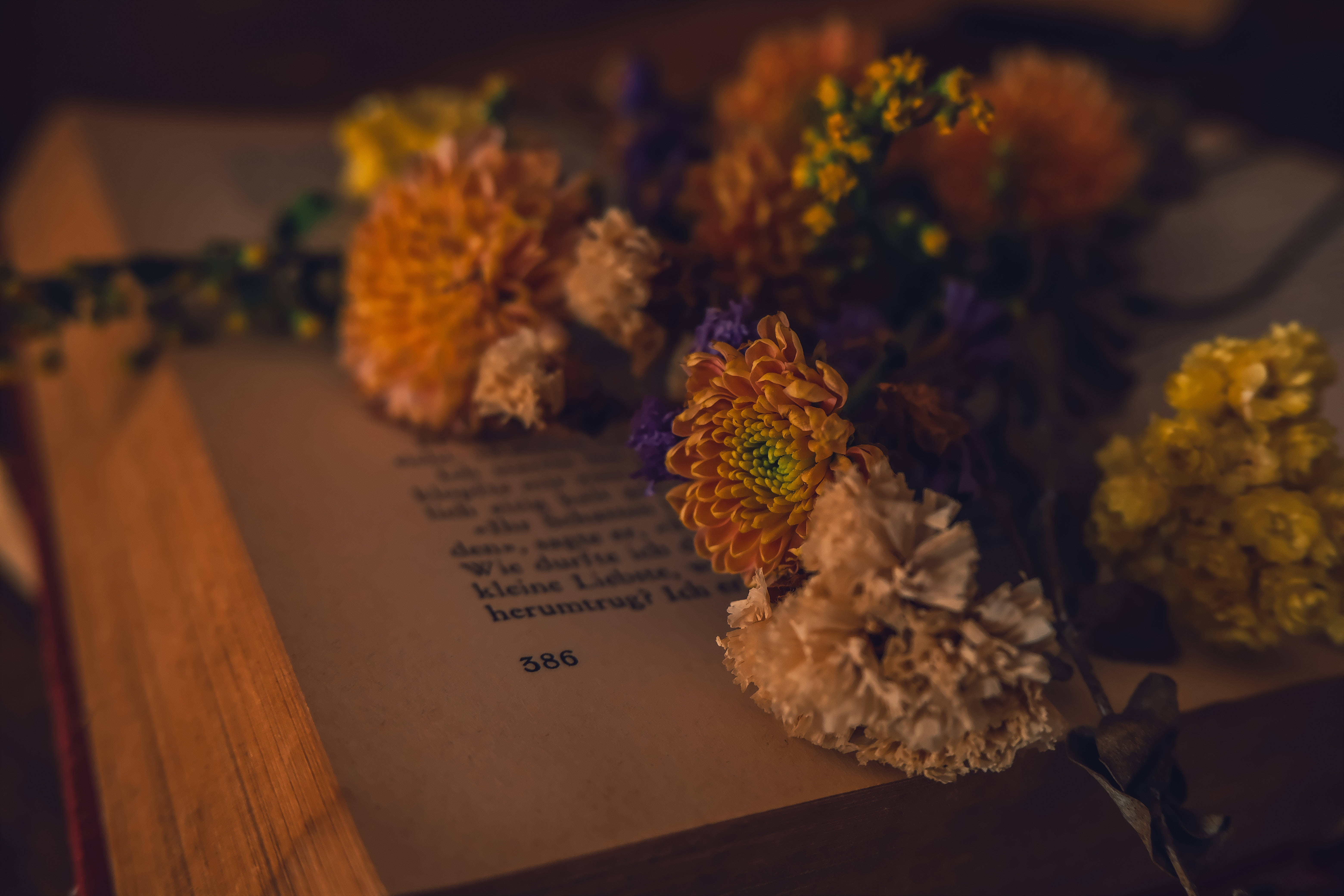 Åben bog med blomster Dark Academia skrivebord Wallpapers