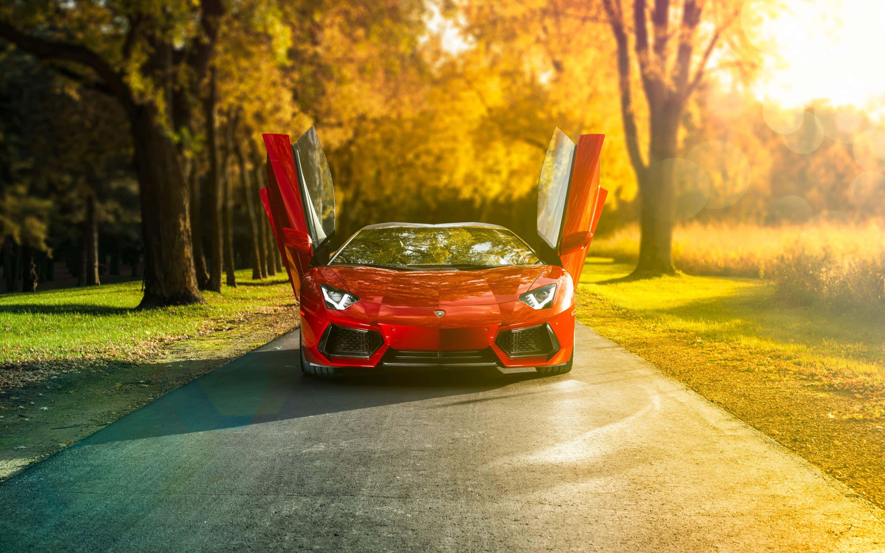 Åben dør Lamborghini Aventador Wallpapers