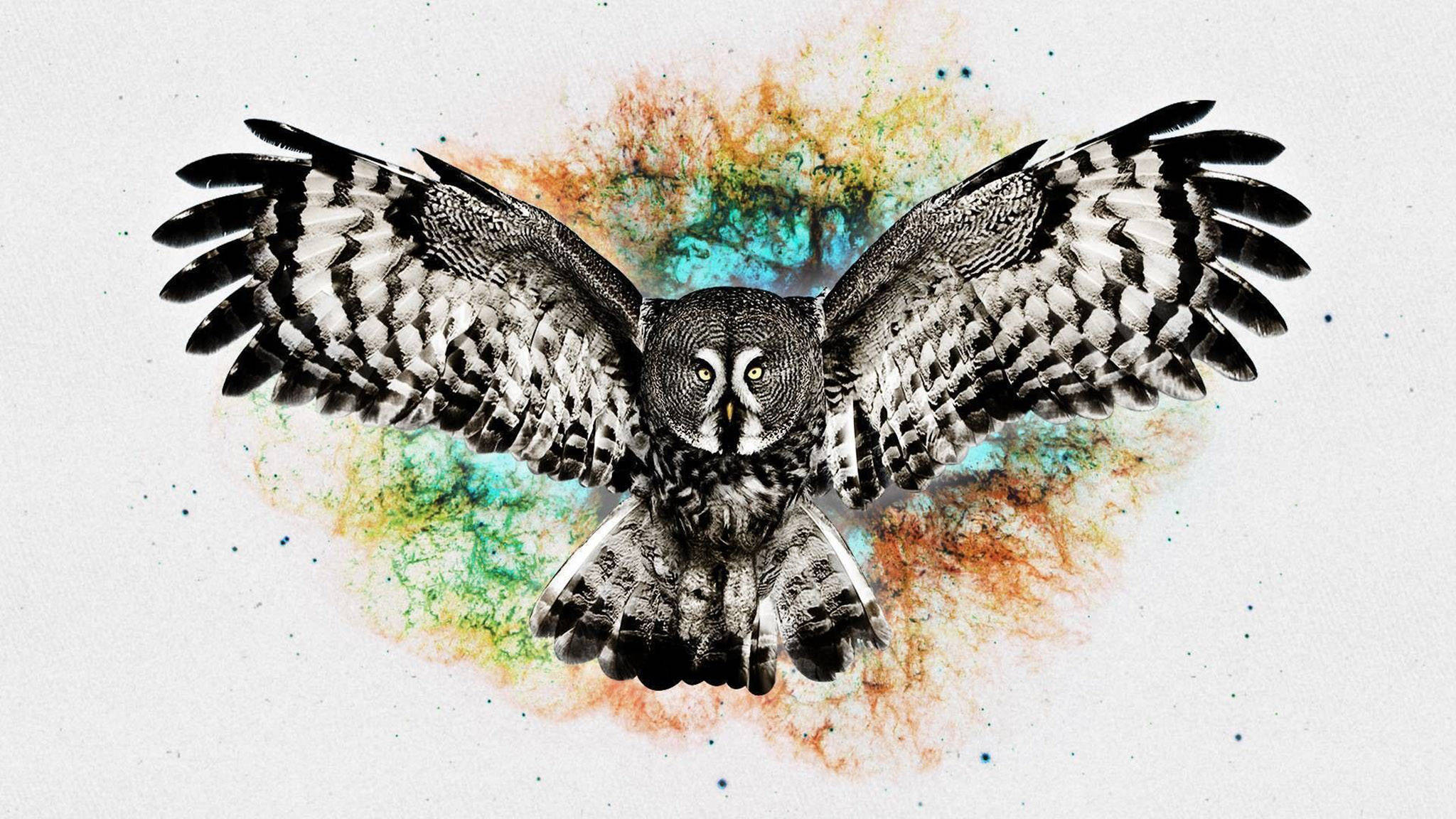 Abstrakt malet sød ugle Wallpapers