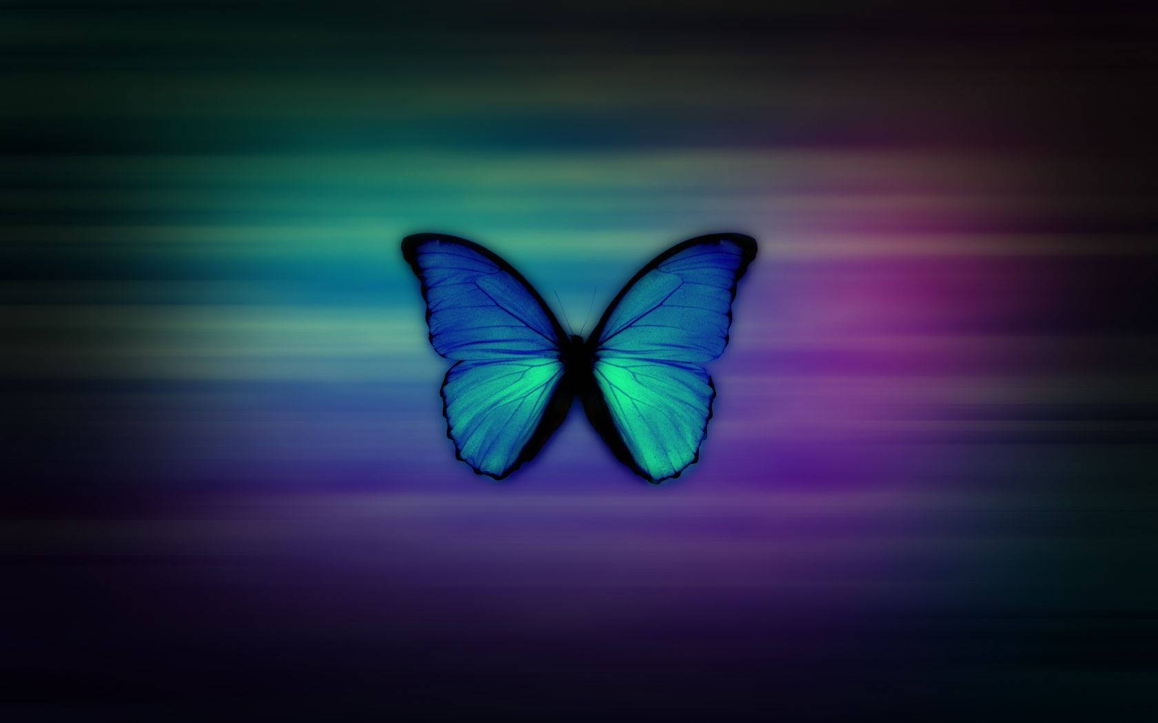 Ægte blå sommerfugl Wallpapers