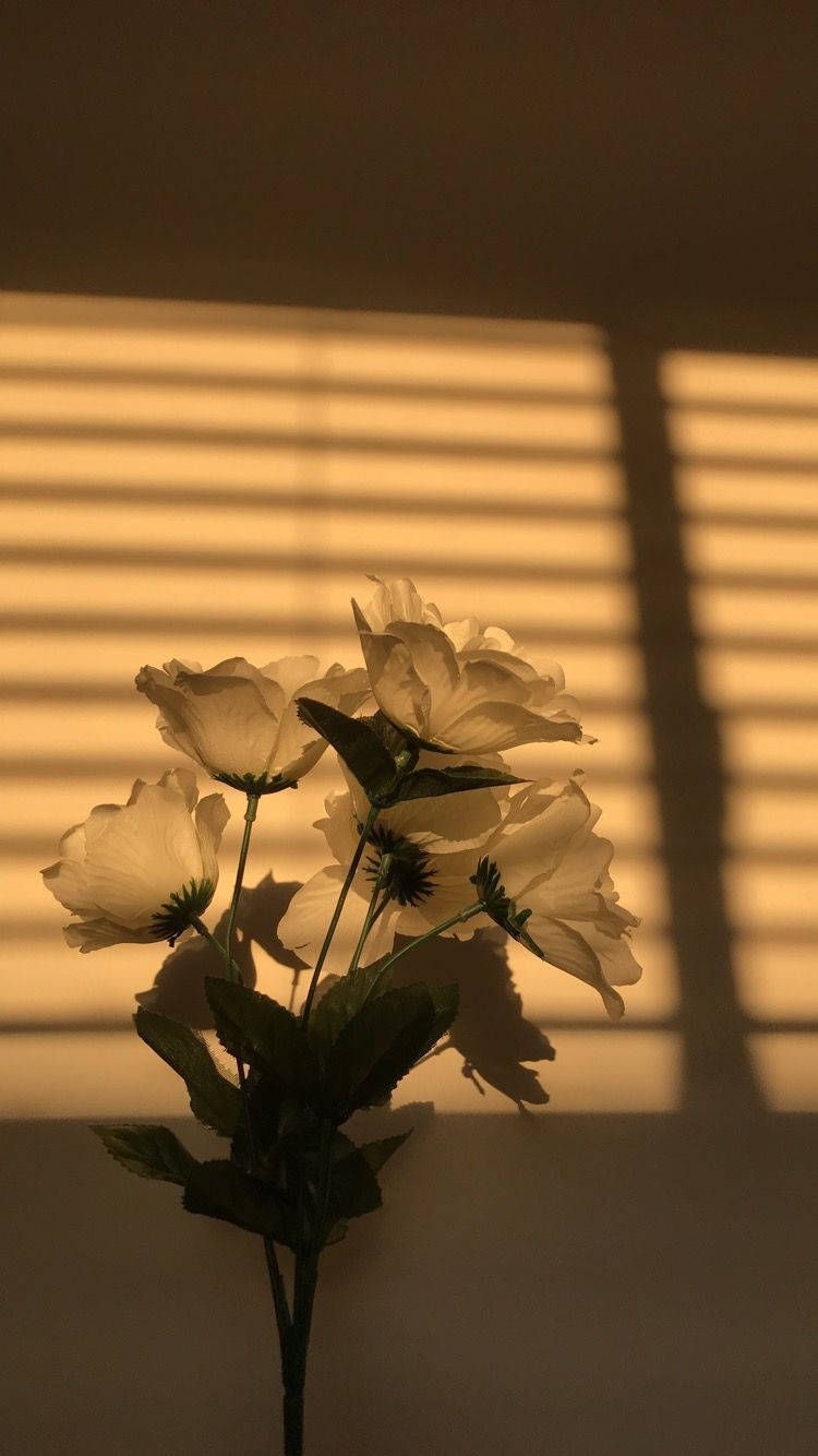 Æstetisk blanding af natur og elegance Wallpapers
