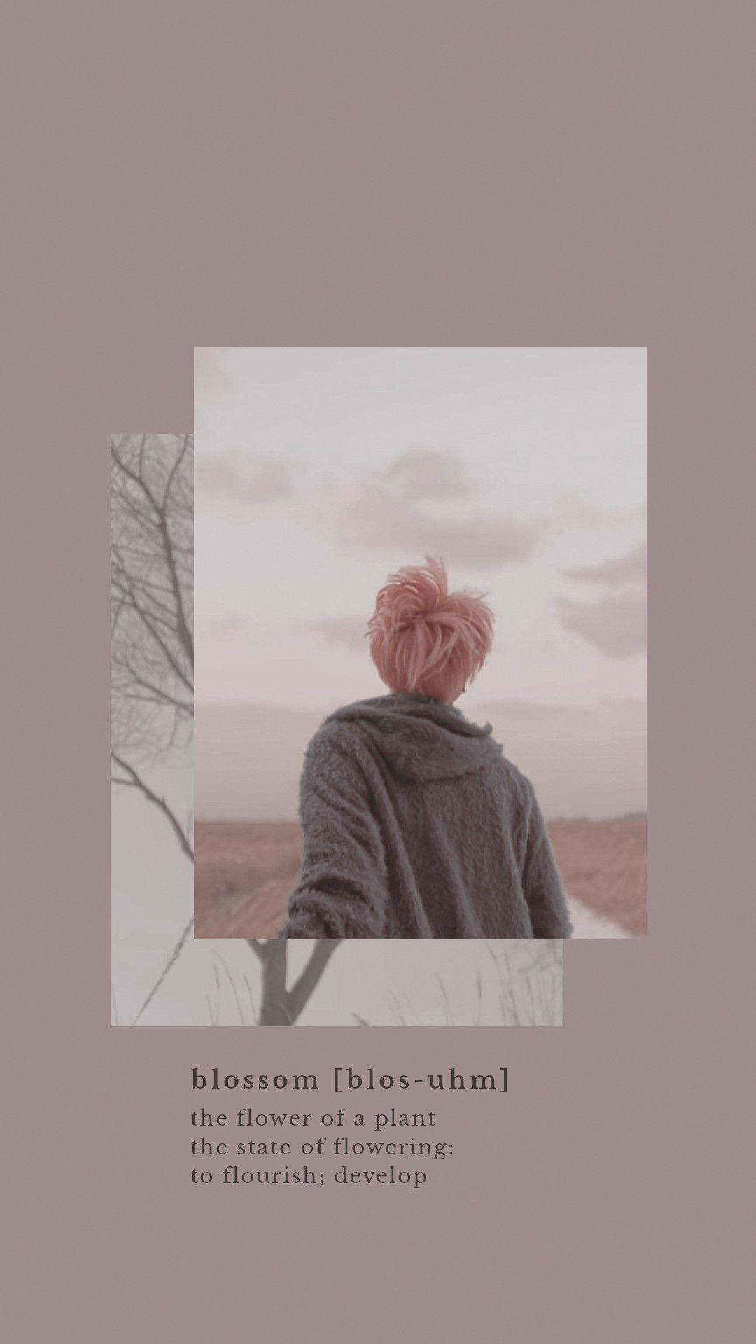 Æstetisk Bts Jimin Blossom Wallpapers