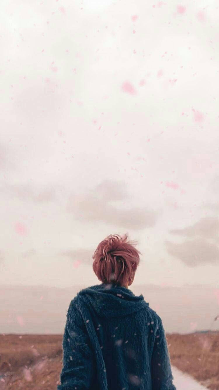 Æstetisk Bts Jimin Spring Day Wallpapers