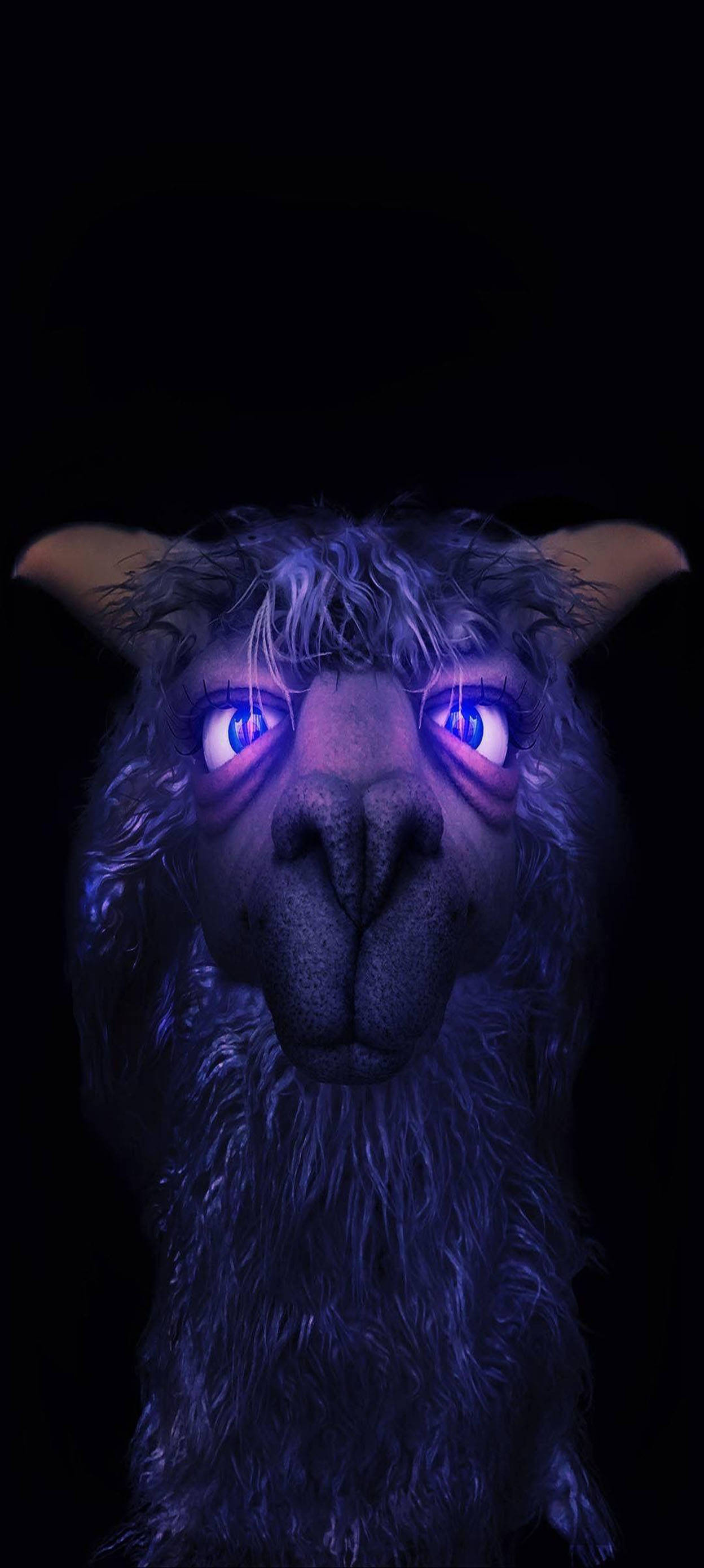 Æstetisk Dreng Violet Lama Wallpapers