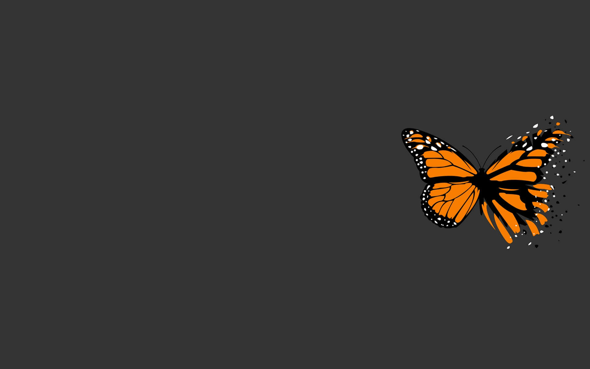 Æstetisk grå baggrund Wallpapers