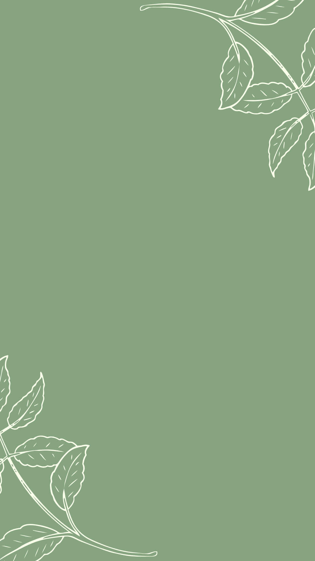 Æstetisk Instagram Minimalistisk Salviegrøn Wallpapers