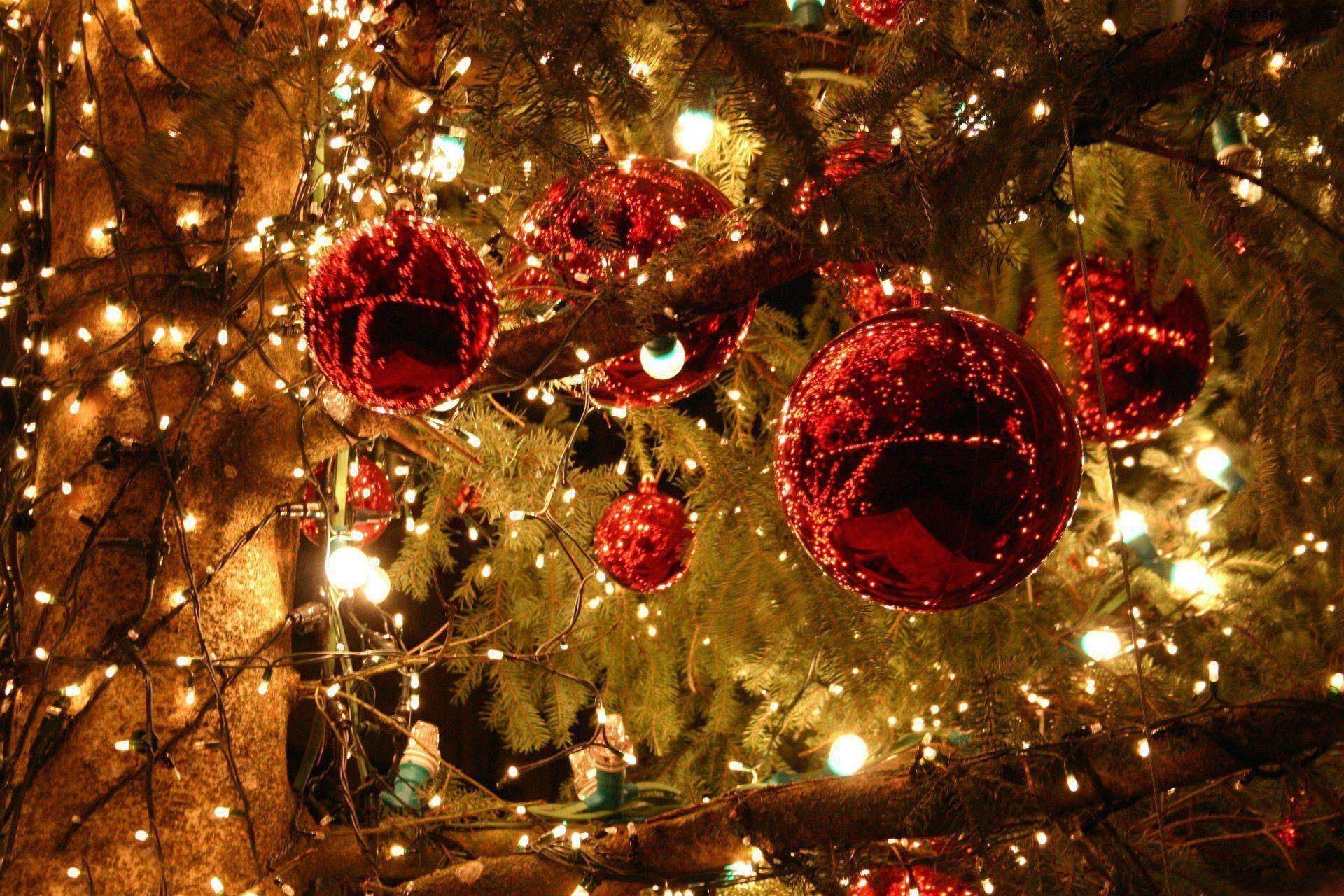 Æstetisk juletræ med festlige lys Wallpapers