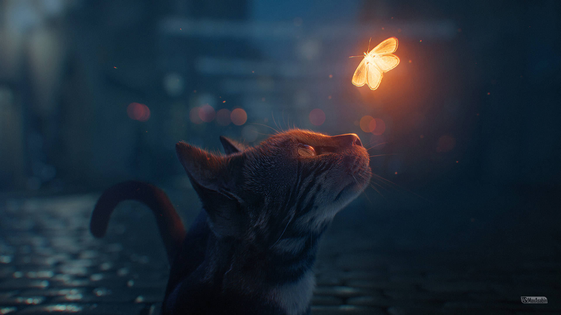 Æstetisk kat med sommerfugl Wallpapers