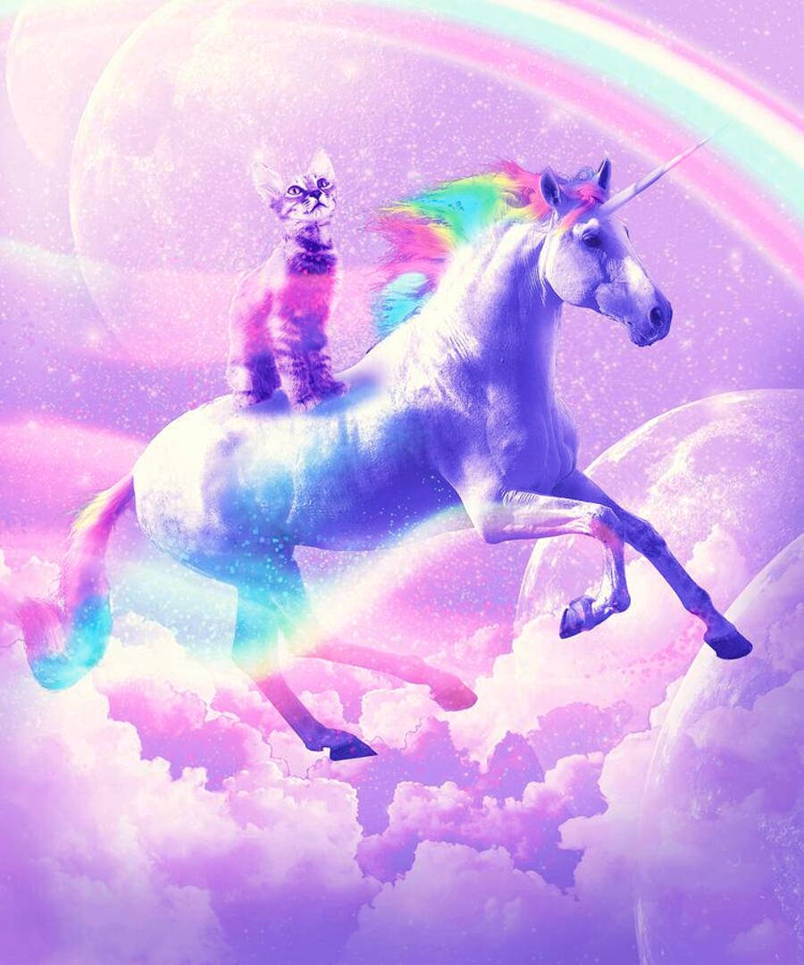 Æstetisk kat på galakseenhjørning Wallpapers