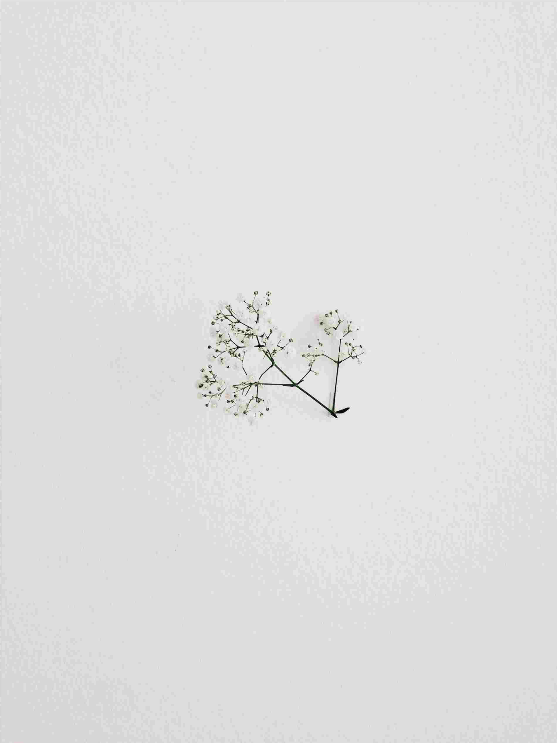 Æstetisk minimalistisk baggrund med en blød pastelgradient af blå og lyserøde nuancer. Wallpapers