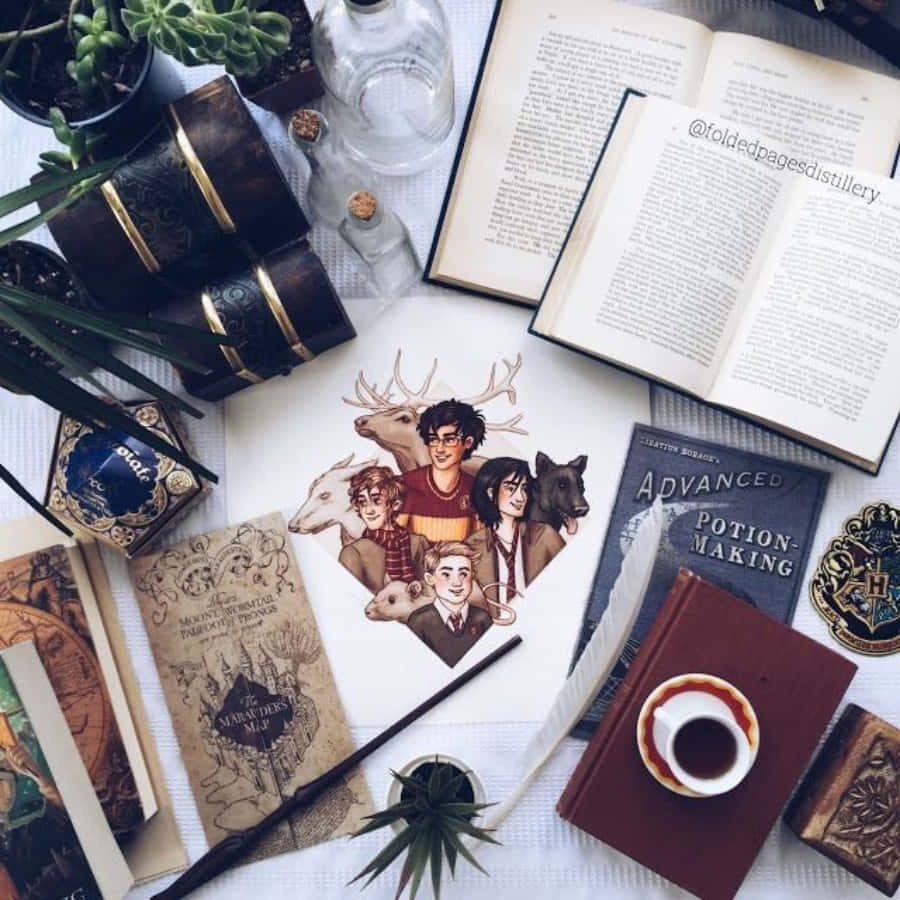 Æstetisk vinduesudstilling med Harry Potter-memorabilia Wallpapers