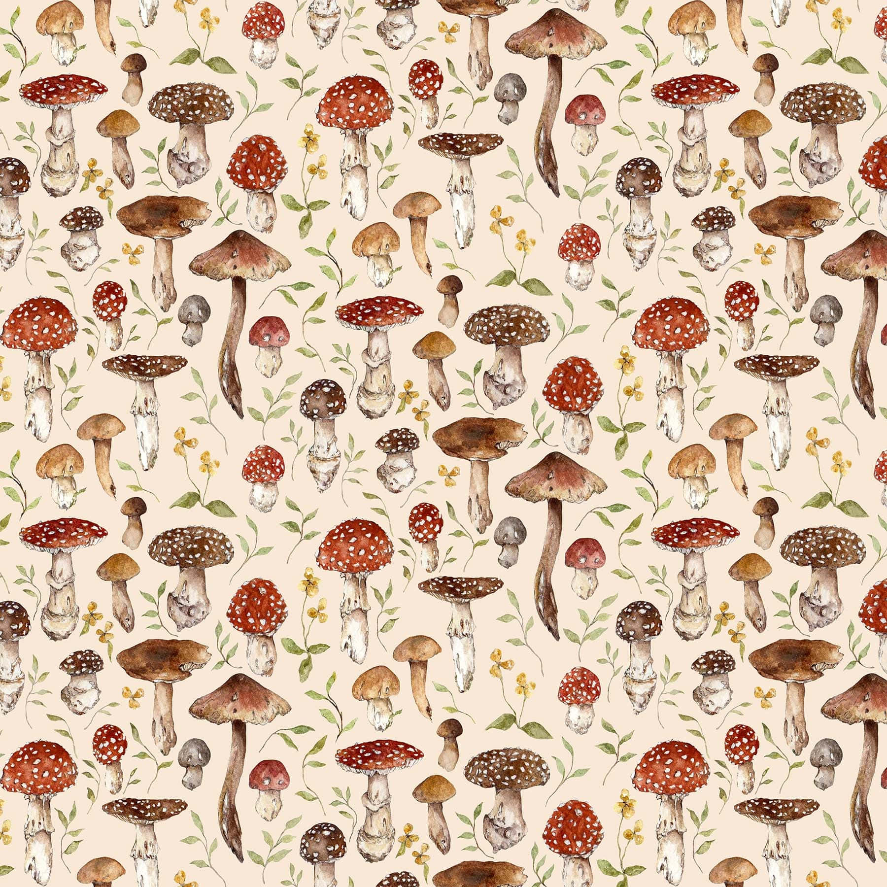 Æstetisk vintage sød svamp beige Wallpapers