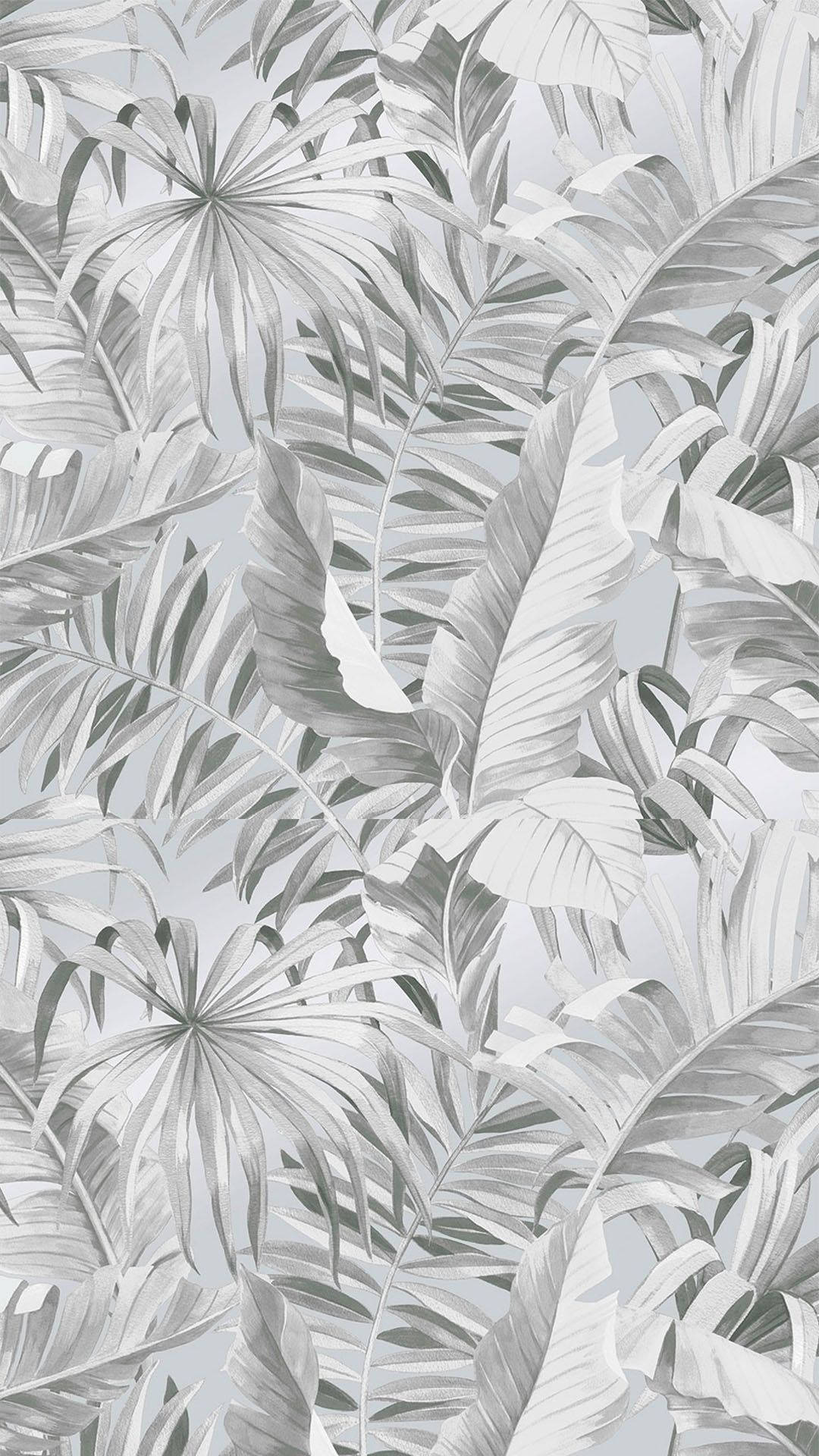 Æstetiske grå blade Wallpapers