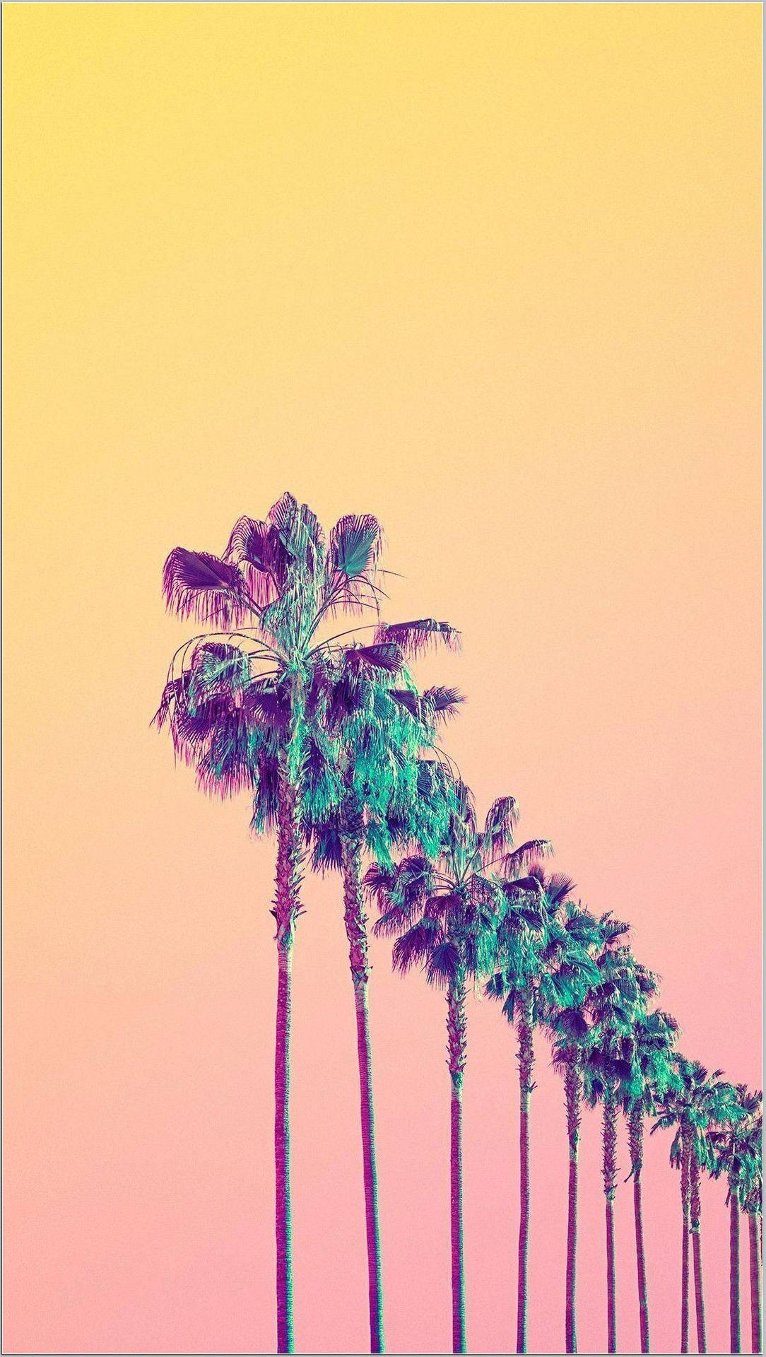 Kreativ kunst af palmetræer på linje på en orange baggrund wallpaper. — Æstetisk Wallpapers