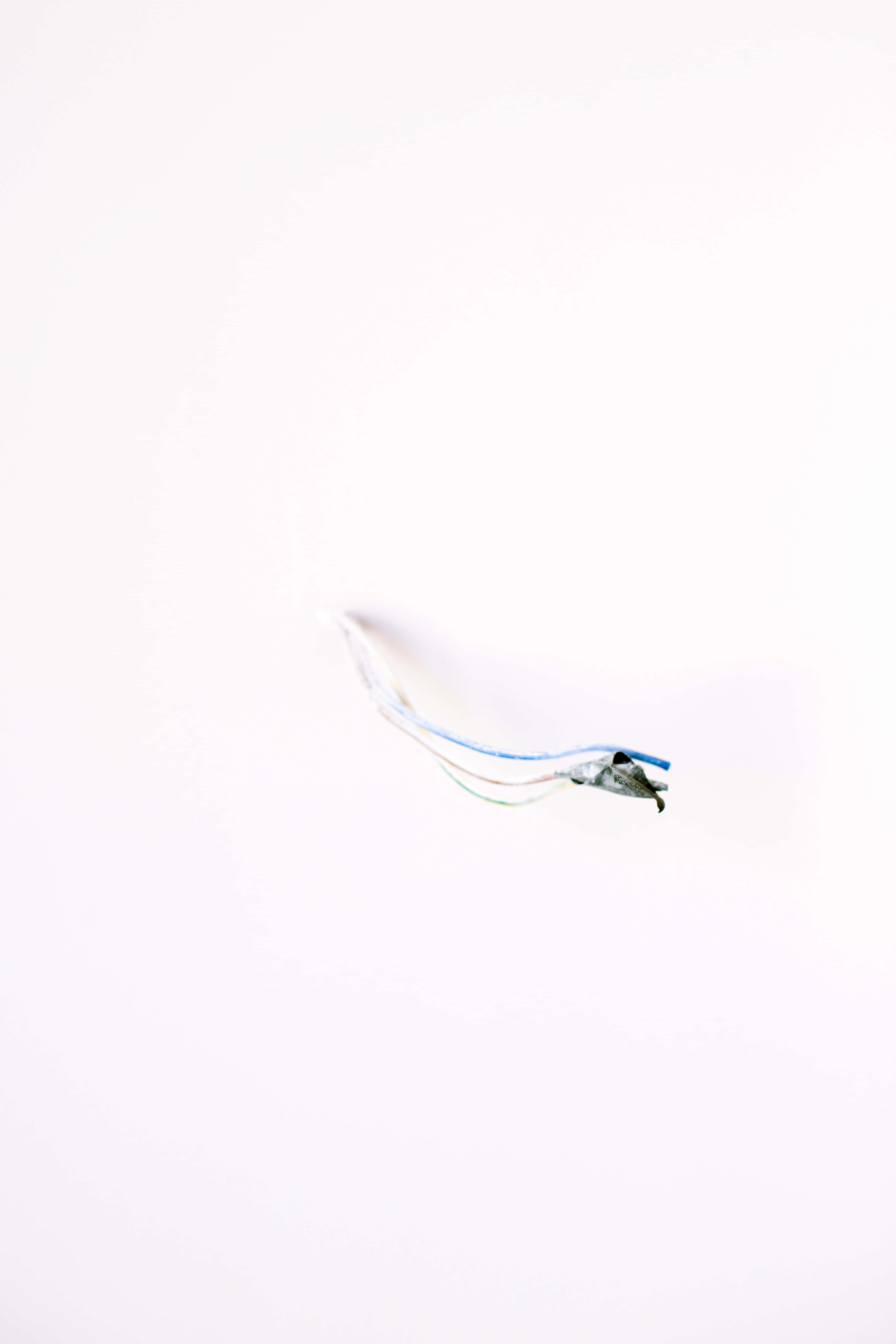 Æstetiske hvide mønstre Wallpapers