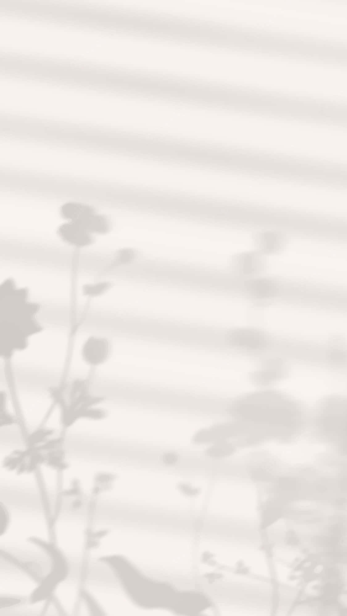 Æstetiske skyggebilleder af planter Wallpapers
