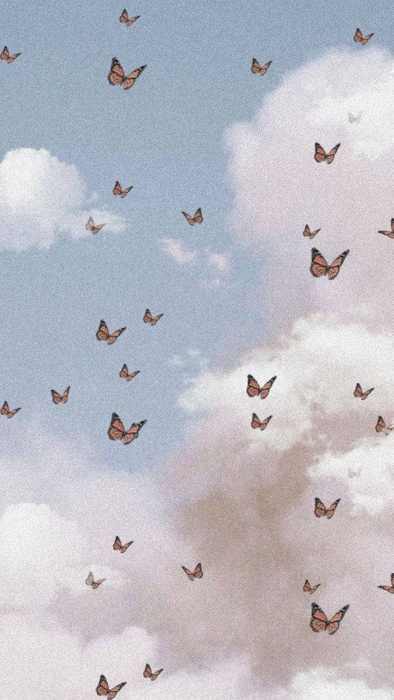 Æstetiske Sommerfugle til Telefonen Wallpapers
