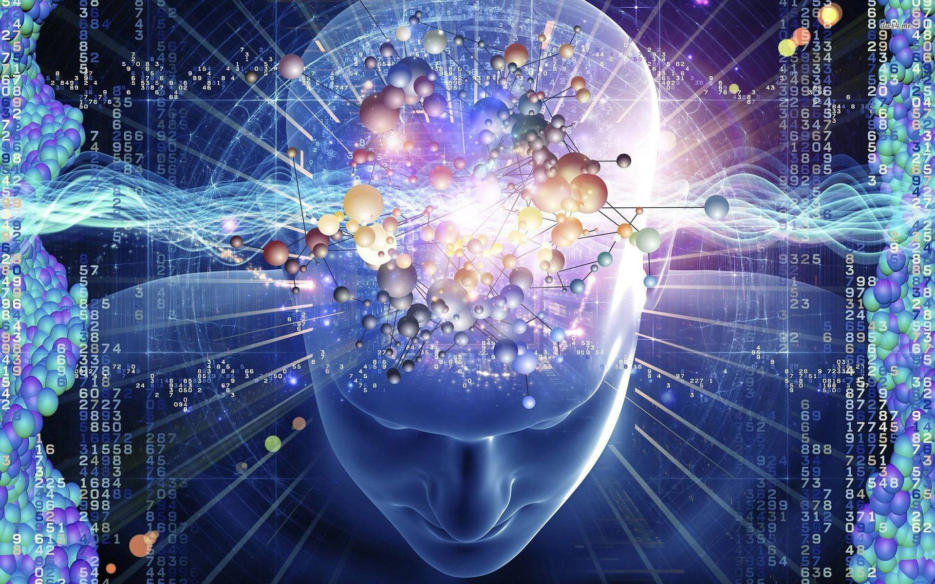 Afdækning af videnskabens hemmeligheder gennem en hjernematrix Wallpapers