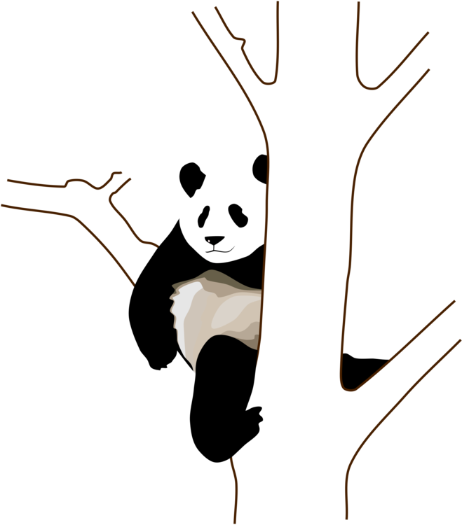 Afslappet panda, der klamrer sig til træ Wallpapers