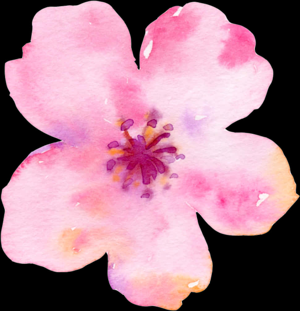 Akvarel_ Kirsebærblomst_ Kunstværk Wallpapers