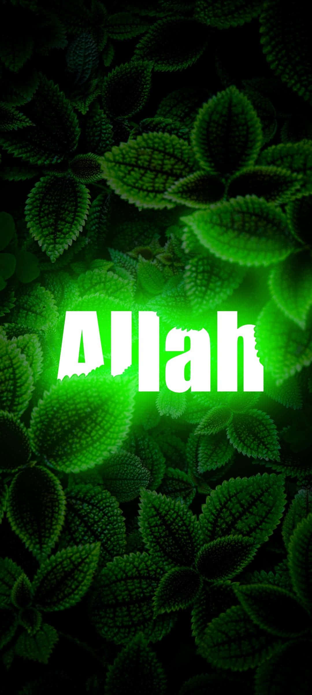 Allah er den øverste skaber og kilde til alt liv Wallpapers