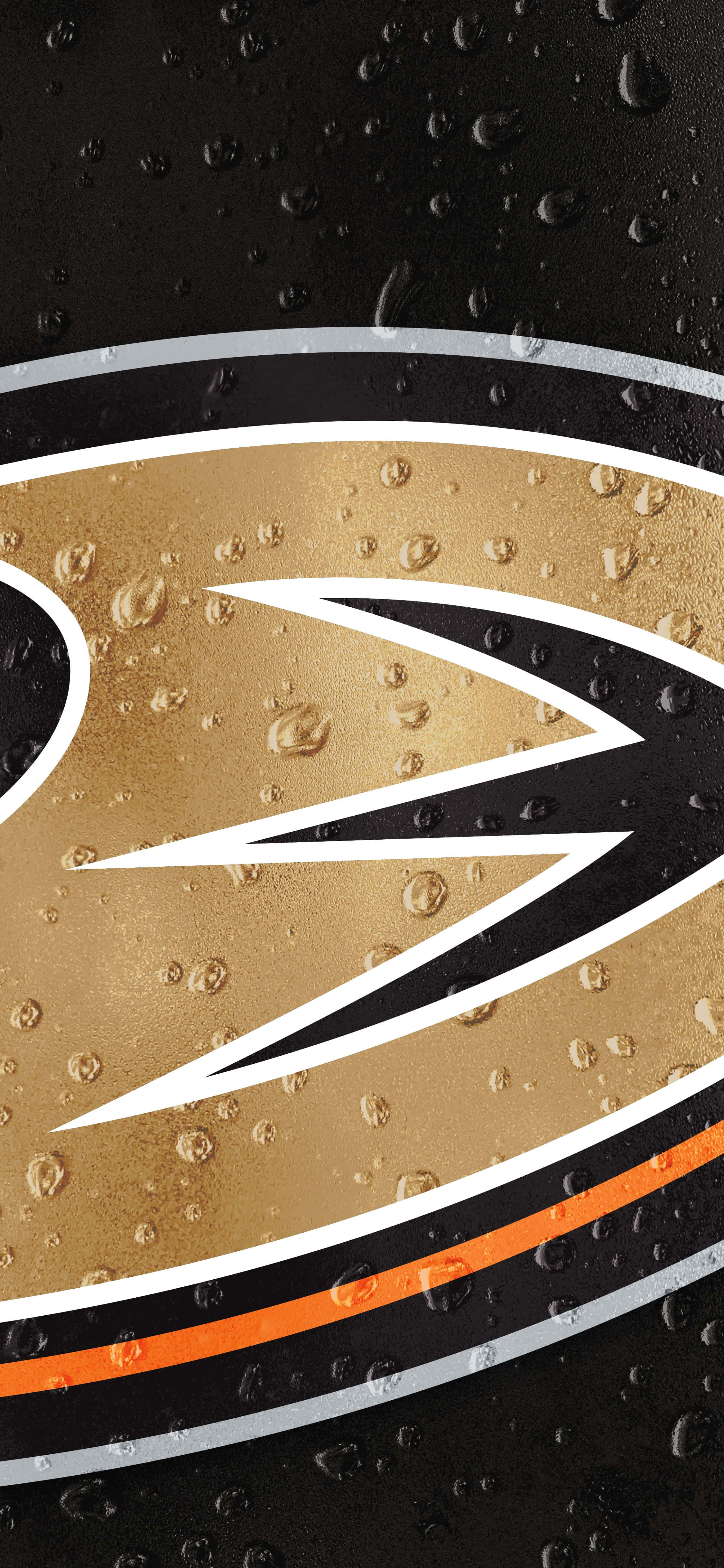 Anaheim Ducks går på isen med stil Wallpapers