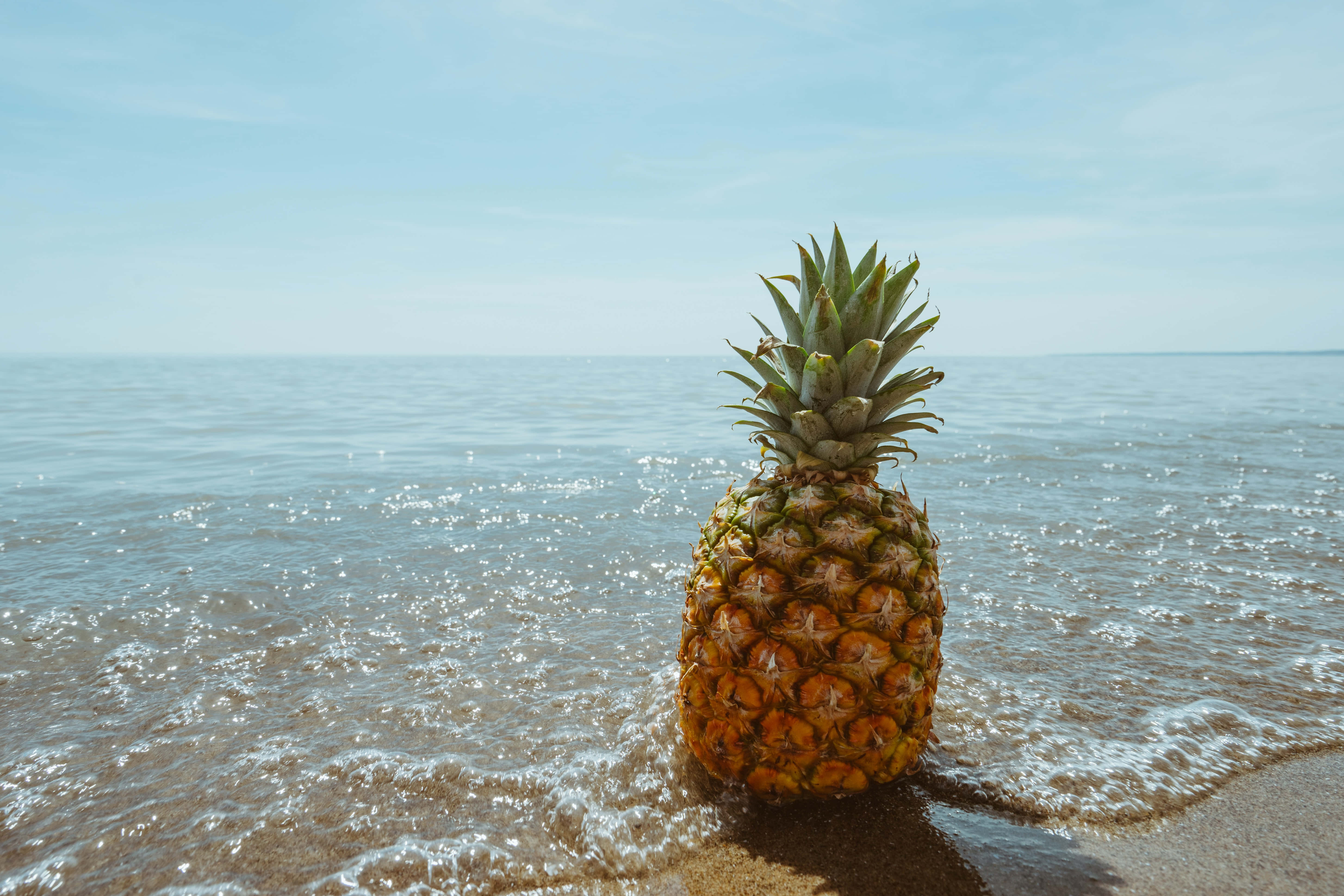 ananas på stranden Wallpapers
