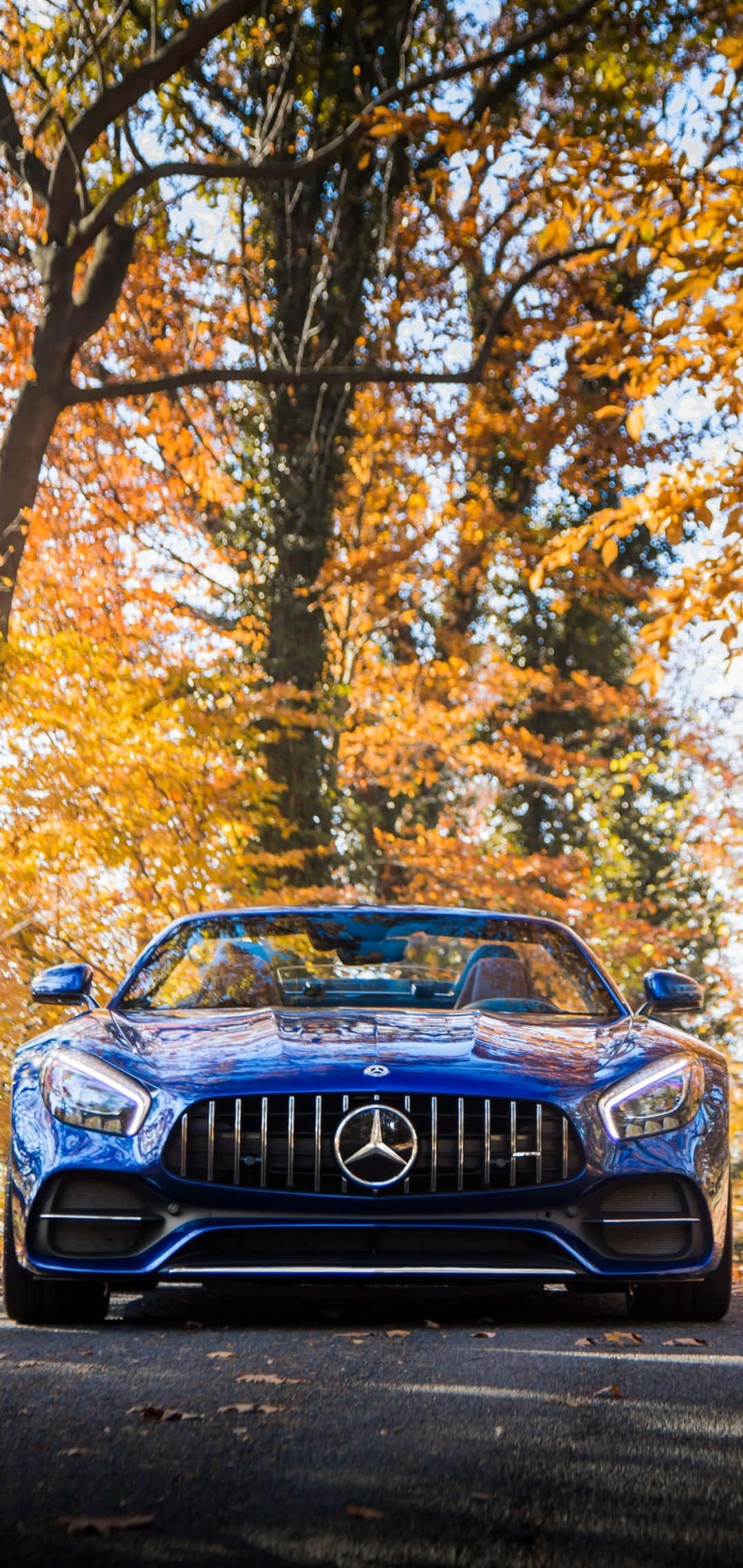 Android Amg Gt-r Gule Træblade Baggrund Wallpapers